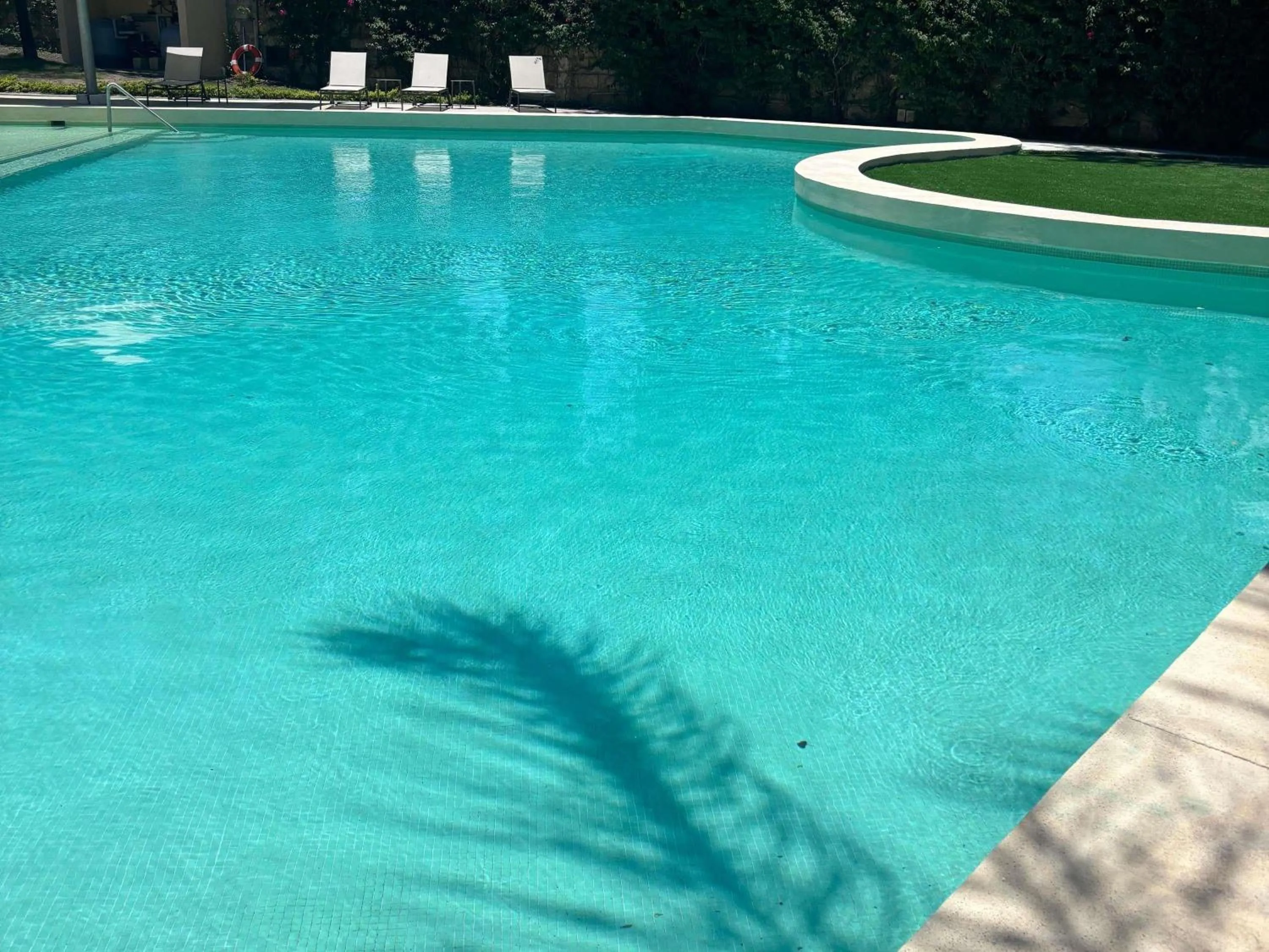 Pool view in Novotel Monterrey Valle