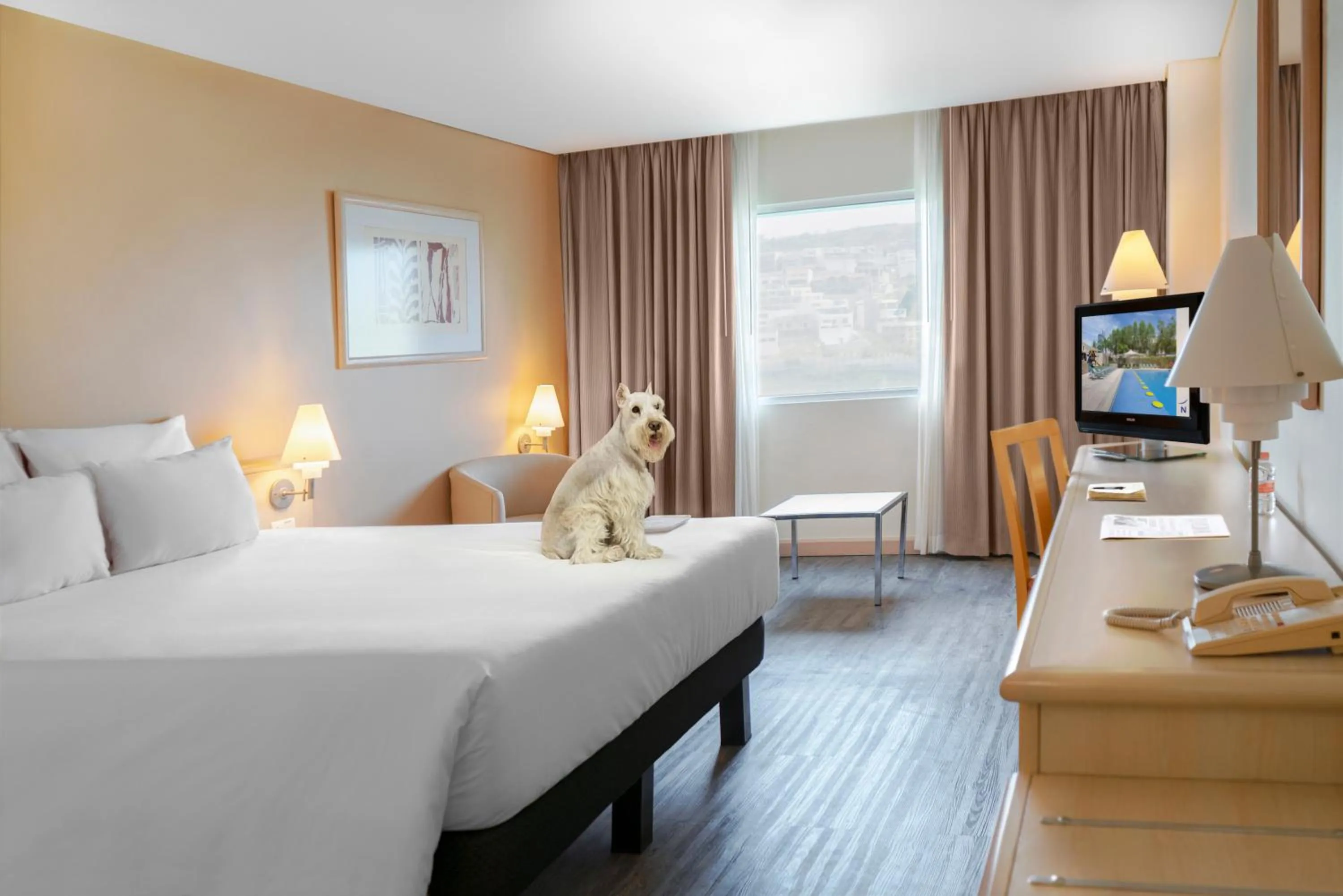 Pets, Bed in Novotel Monterrey Valle