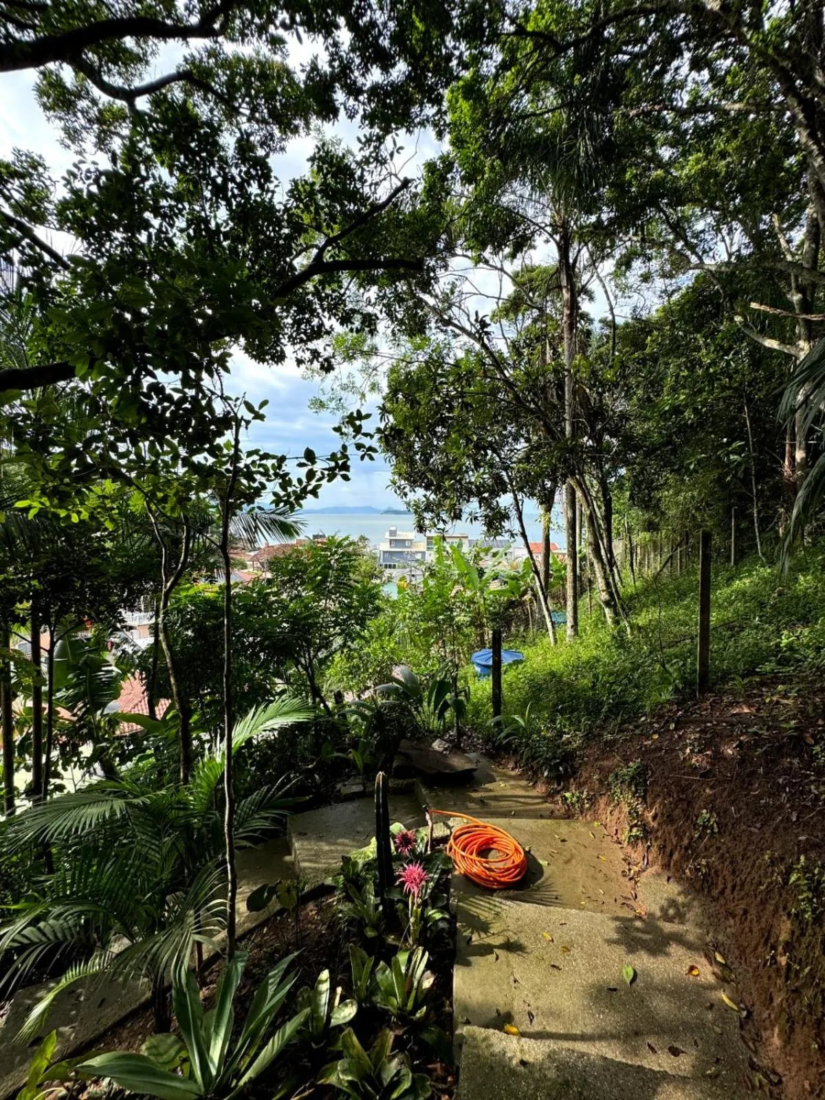Garden view in Pousada Casa do Oscar