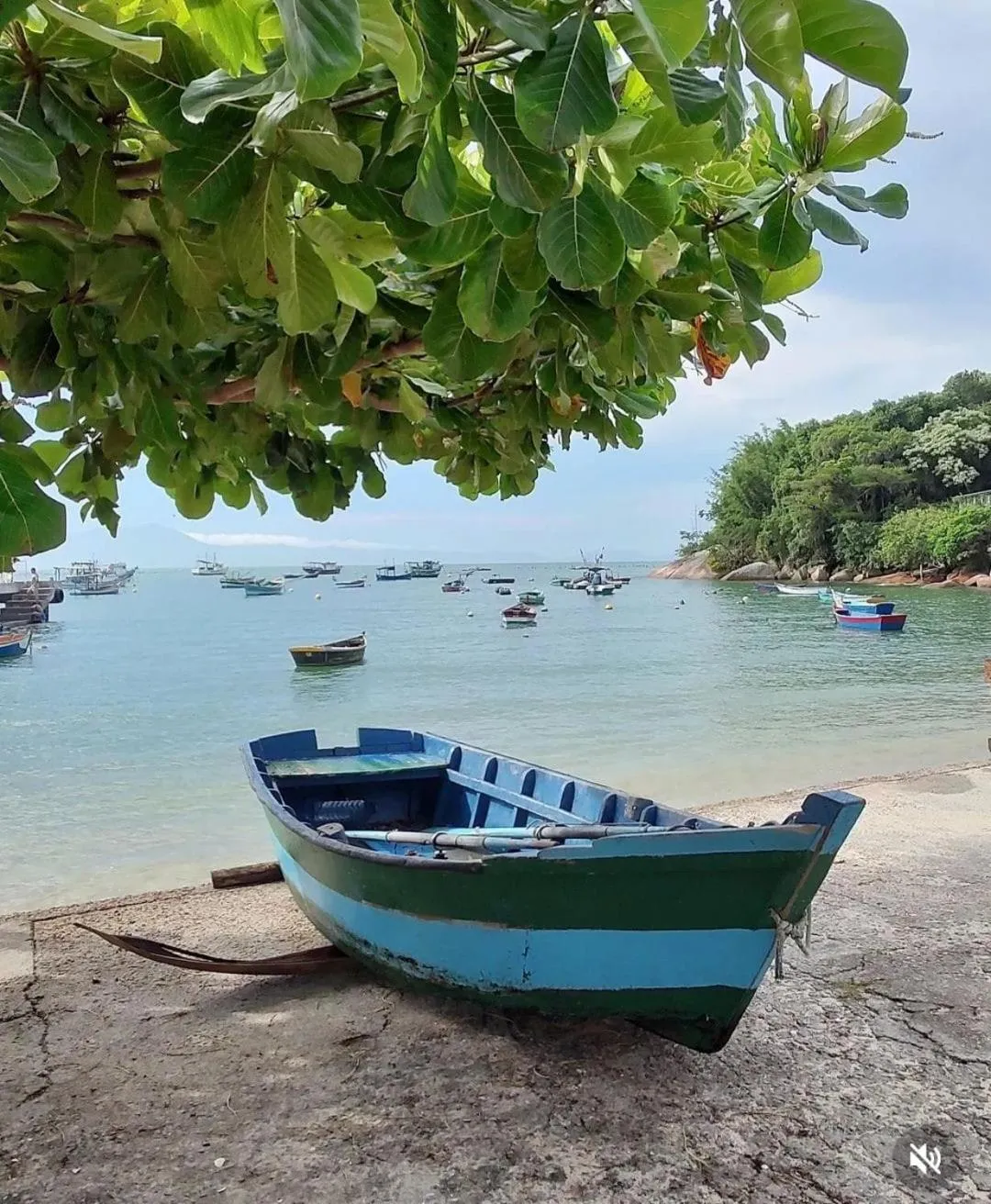 Summer in Pousada Casa do Oscar