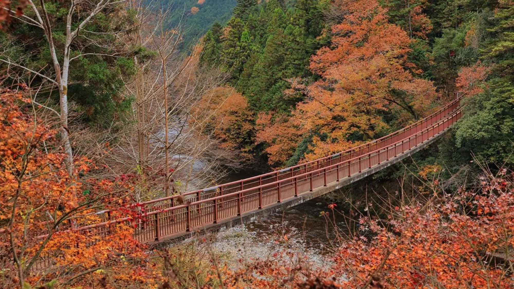 Nearby landmark in Toyoko Inn Tokyo Akigawa-eki Kita-guchi