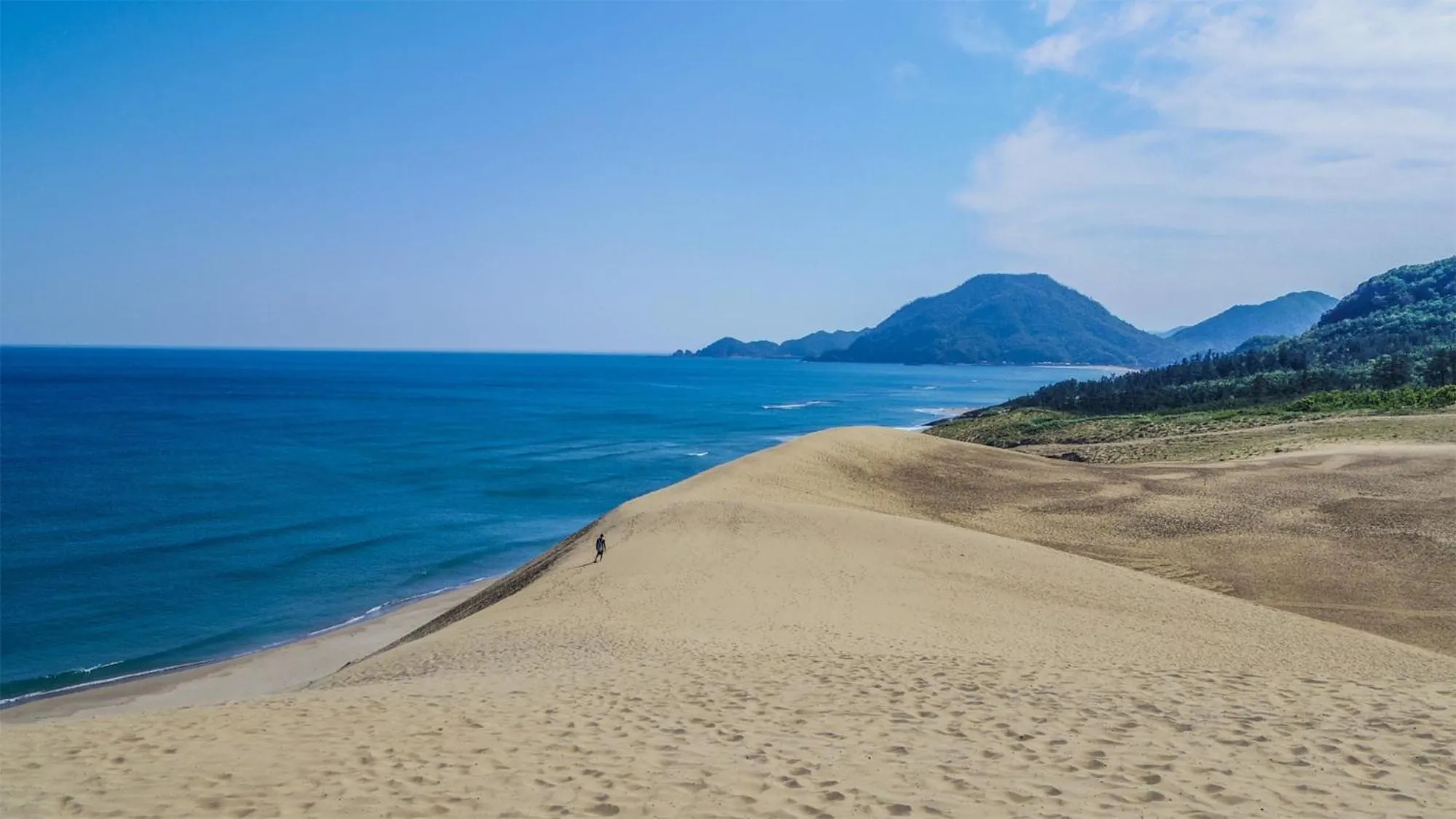Nearby landmark in Toyoko Inn Tottori-eki Minami-guchi
