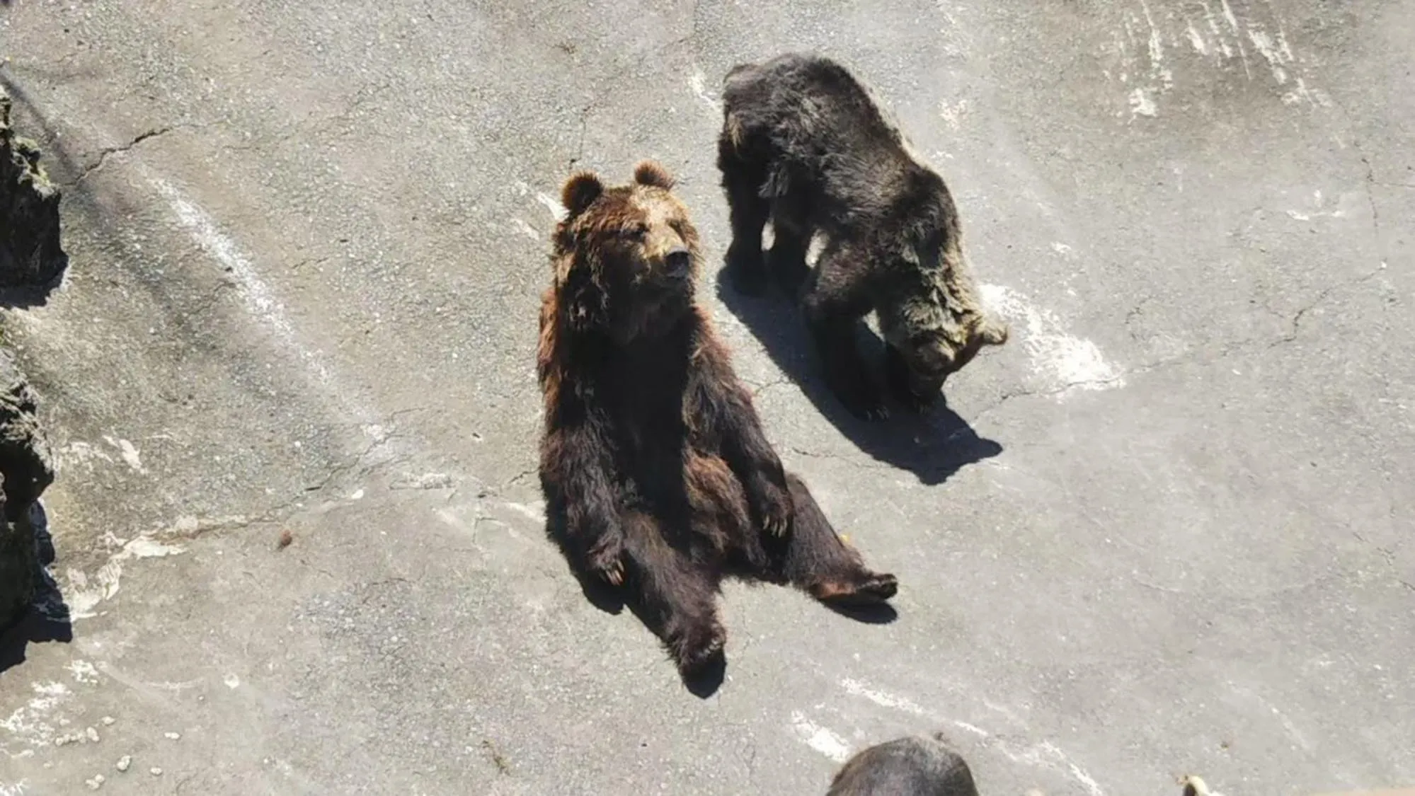 Nearby landmark in Toyoko Inn Kumamoto Sakuramachi Bus Terminal Mae