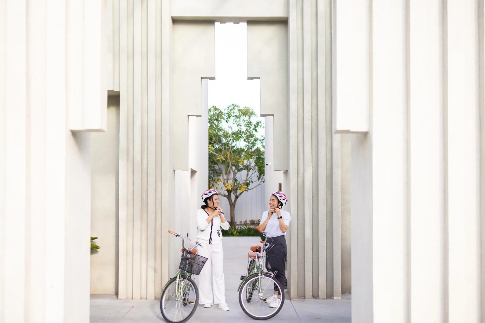 Activities in The Culture Samui