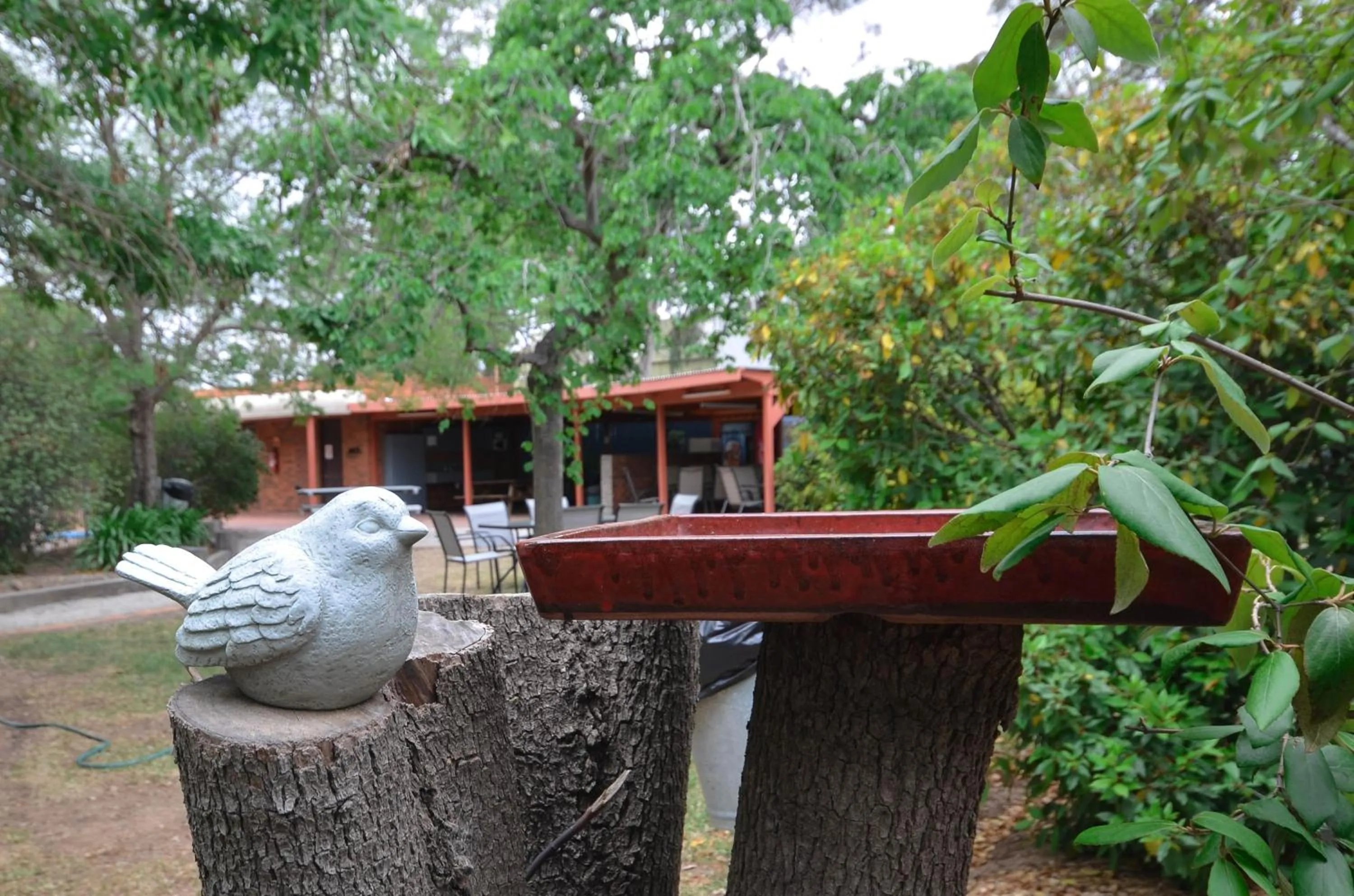 Garden in River Country Inn