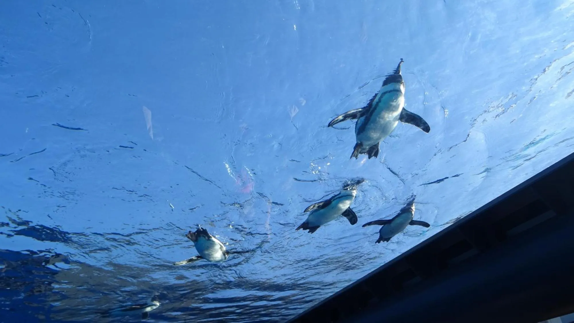 Nearby landmark in Toyoko Inn Tokyo Otsuka-eki Kita-guchi No 1