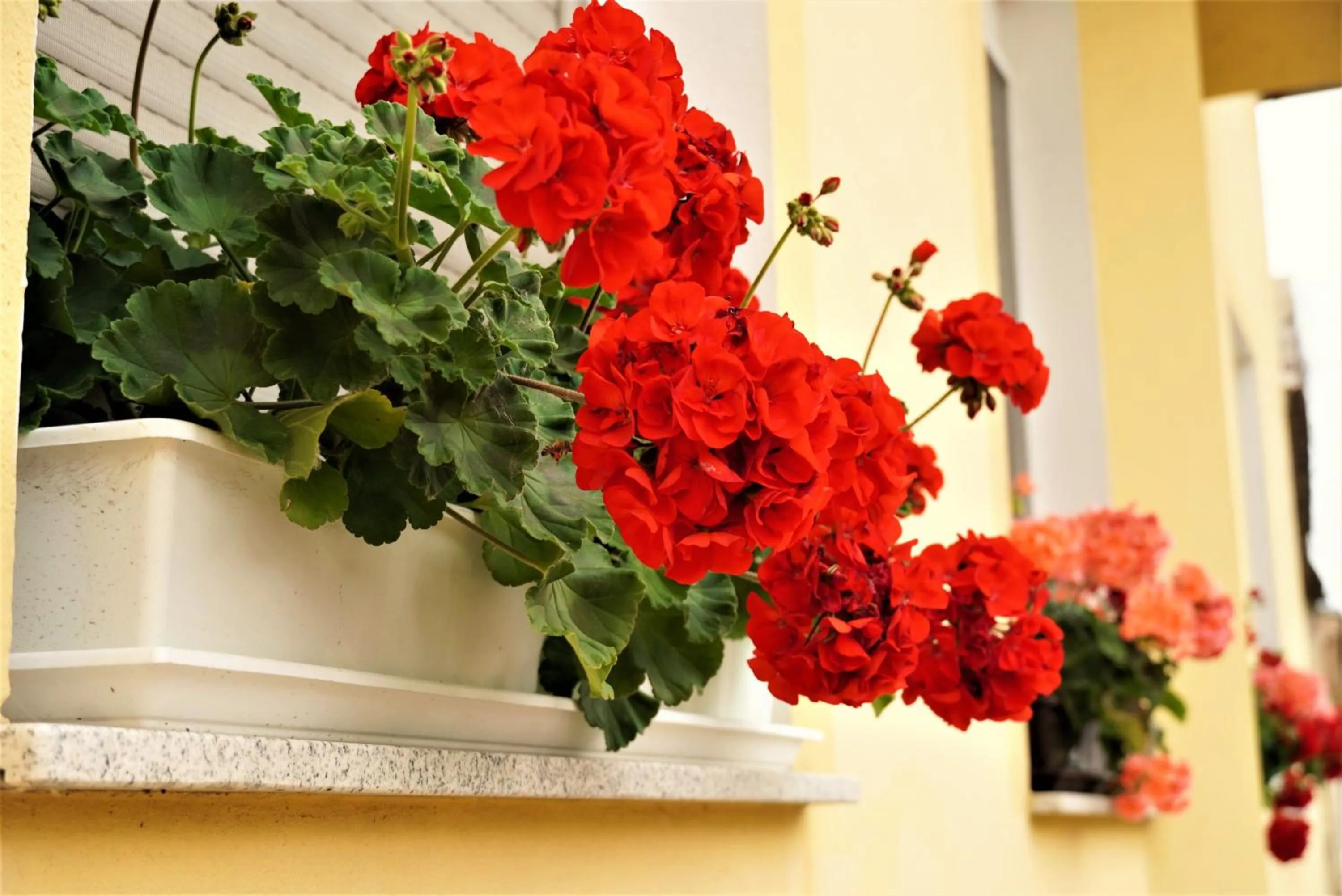 Twin Room - single occupancy in Club Haus 502 Kalocsa