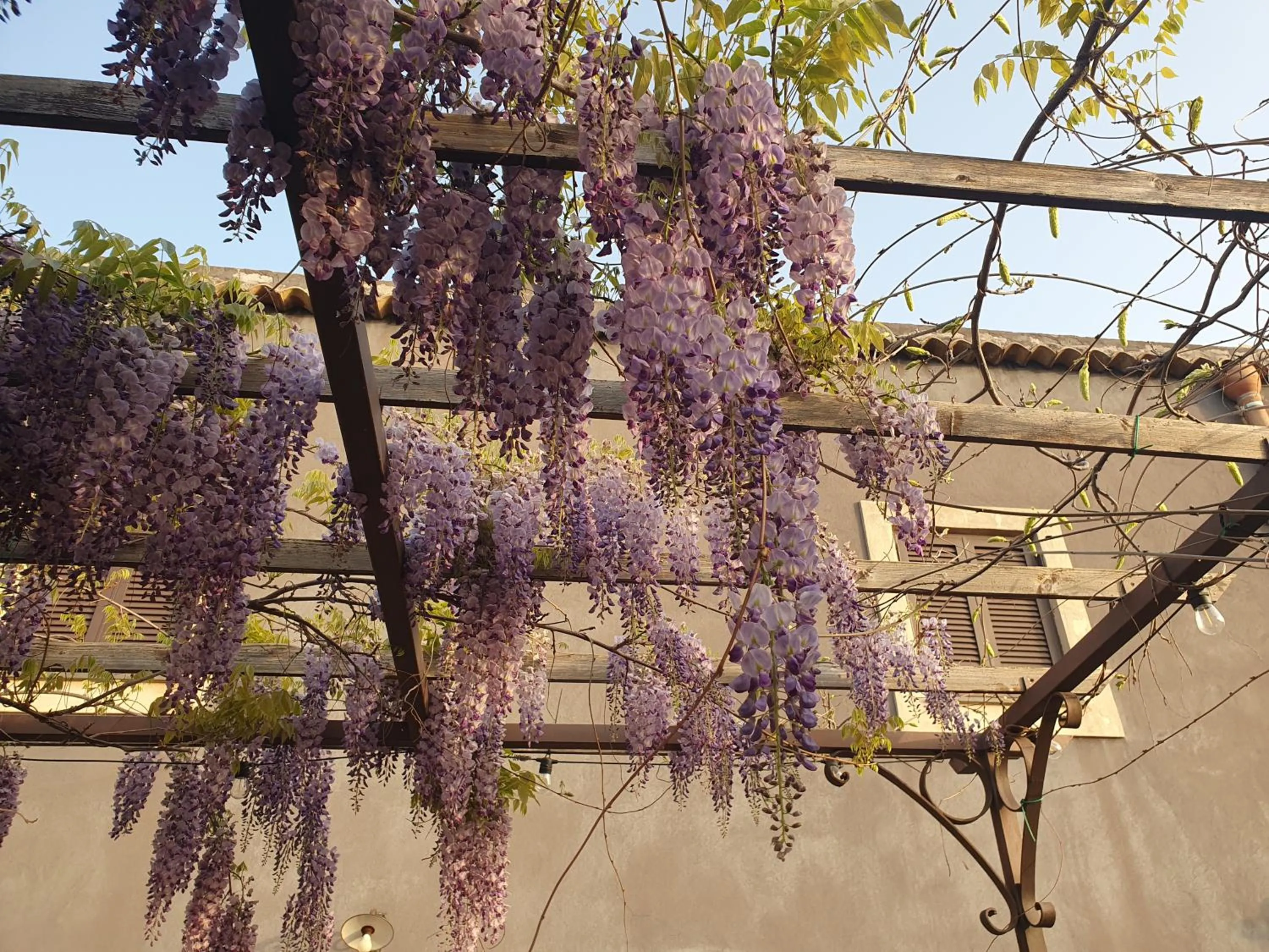 Patio in Casa Etnea