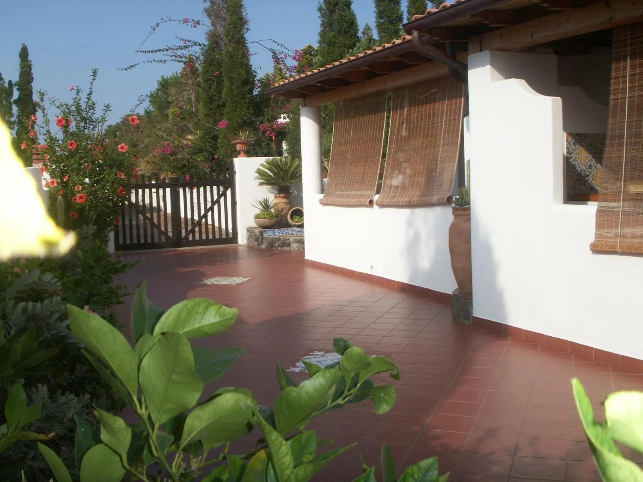 Facade/entrance in Casa Arcada