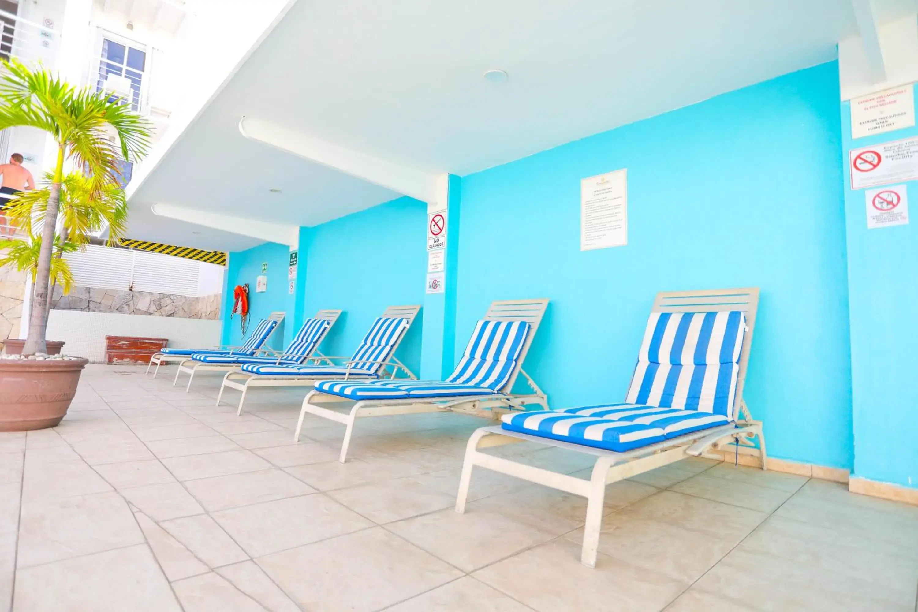 sunbed in Terracaribe Hotel Boutique sunbed in Terracaribe Hotel Boutique