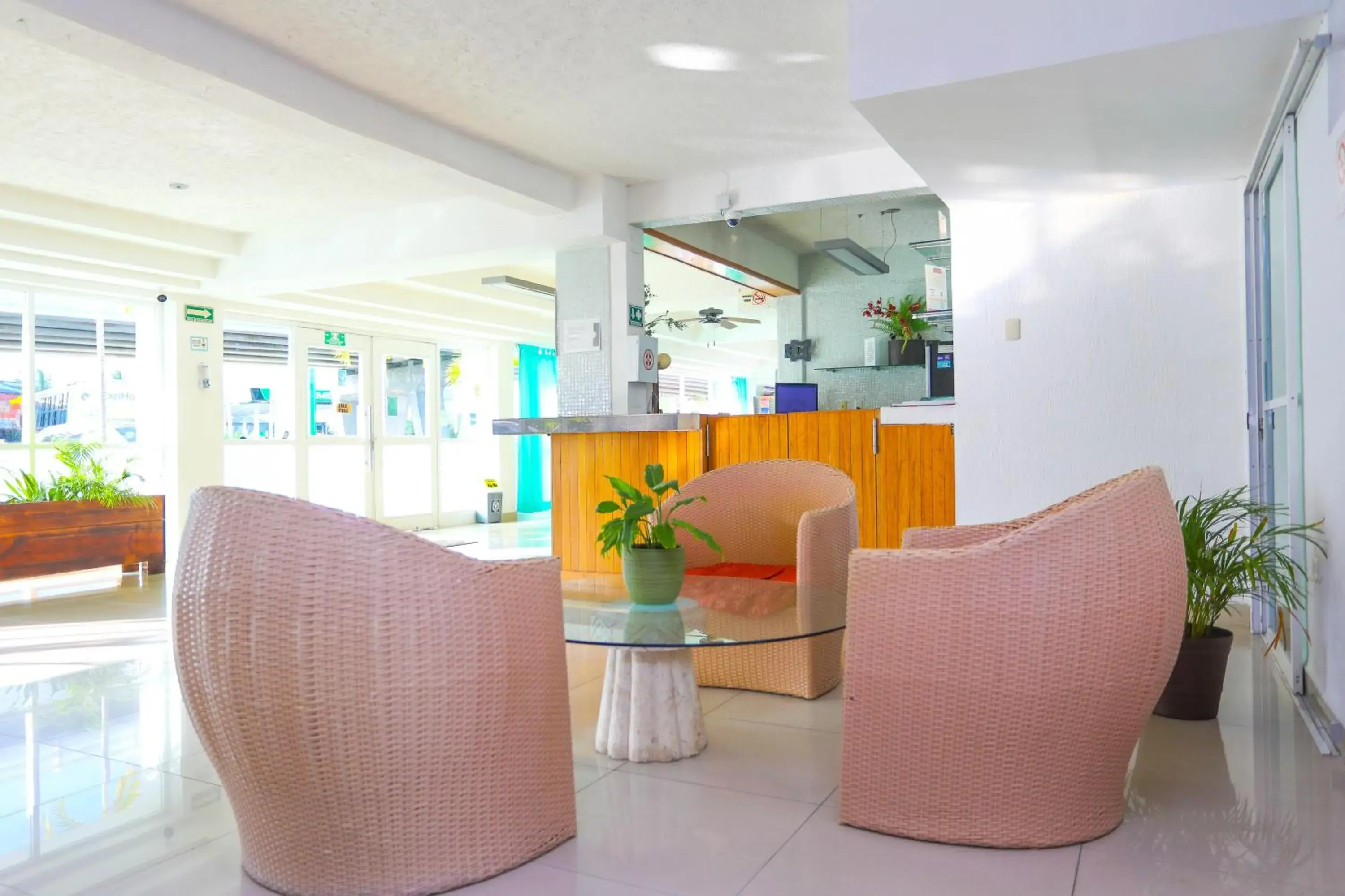 Living room in Terracaribe Hotel Boutique Living room in Terracaribe Hotel Boutique