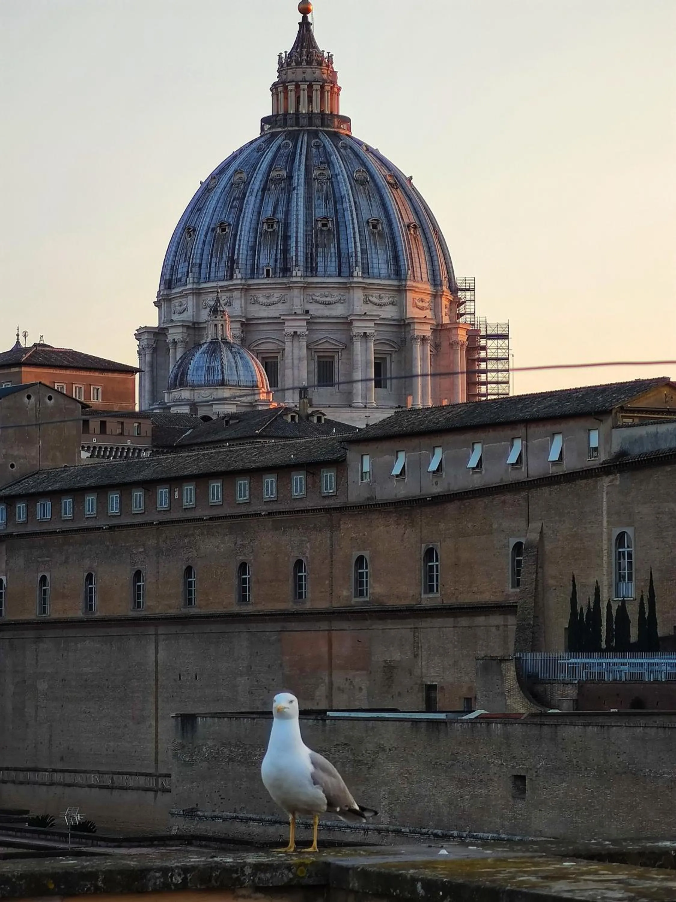 Balcony/Terrace in Rhome Hosting