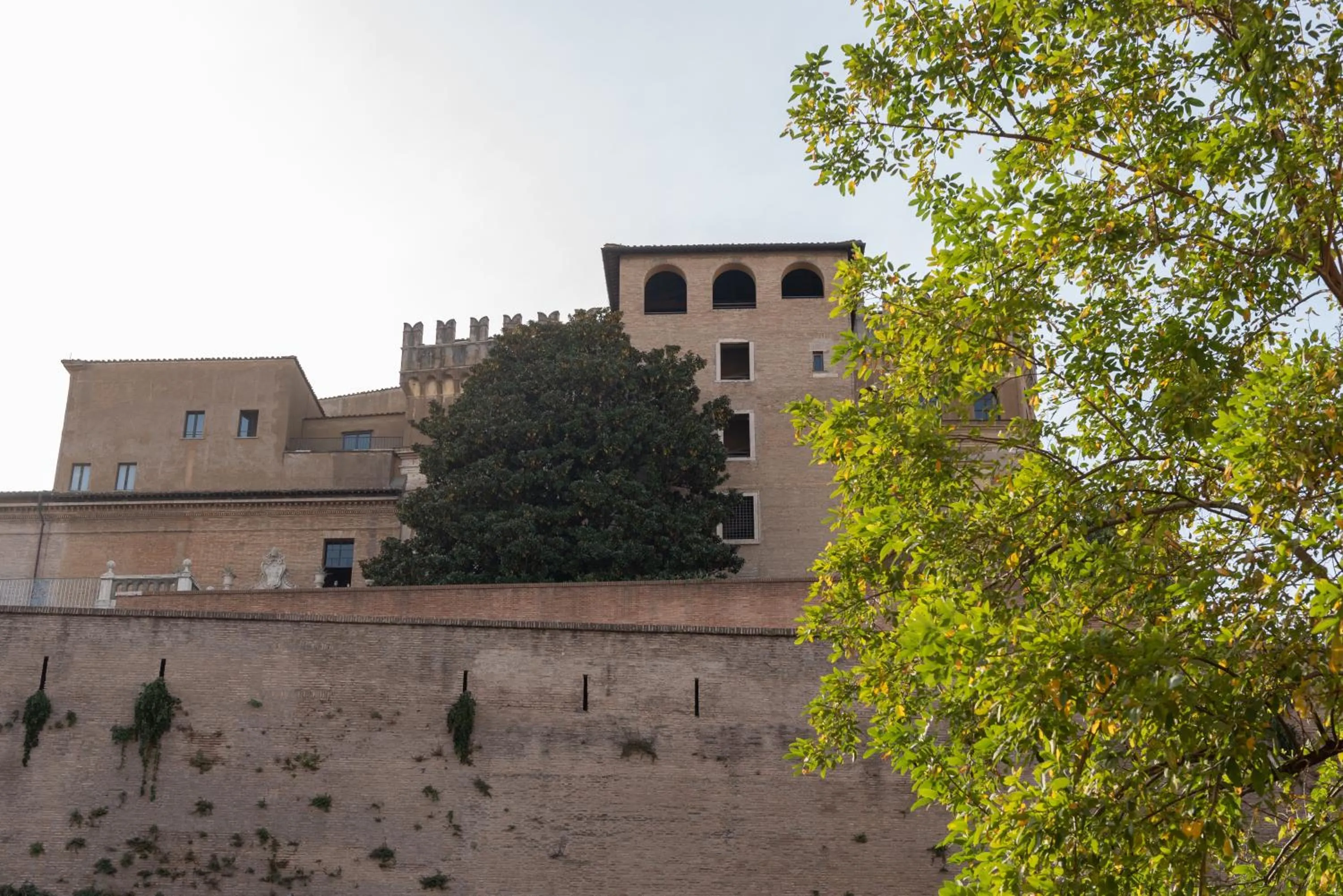 Property building in Rhome Hosting