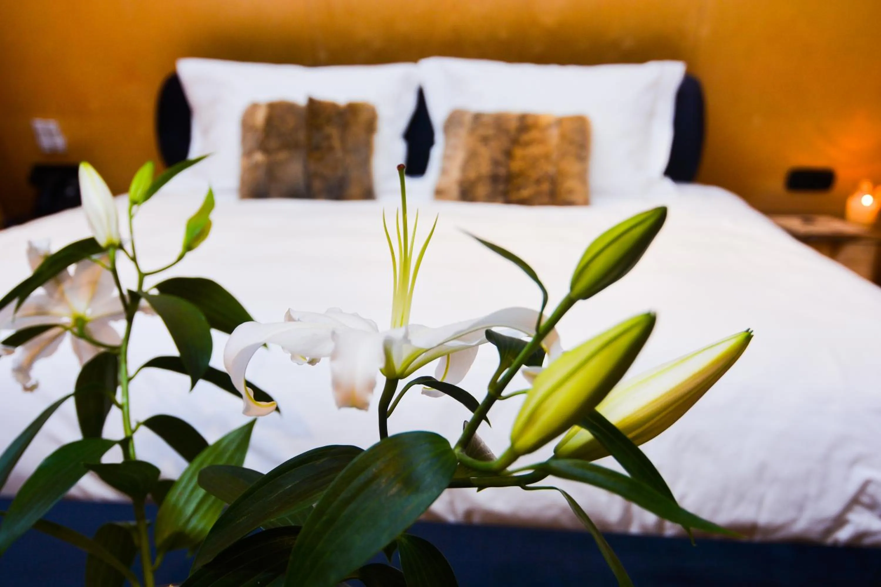 Bed in 3 Hills Boutique - The Ranch Experience