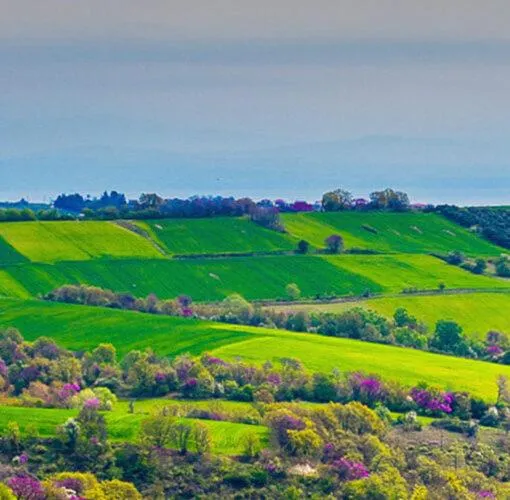 Natural landscape in 3 Hills Boutique - The Ranch Experience