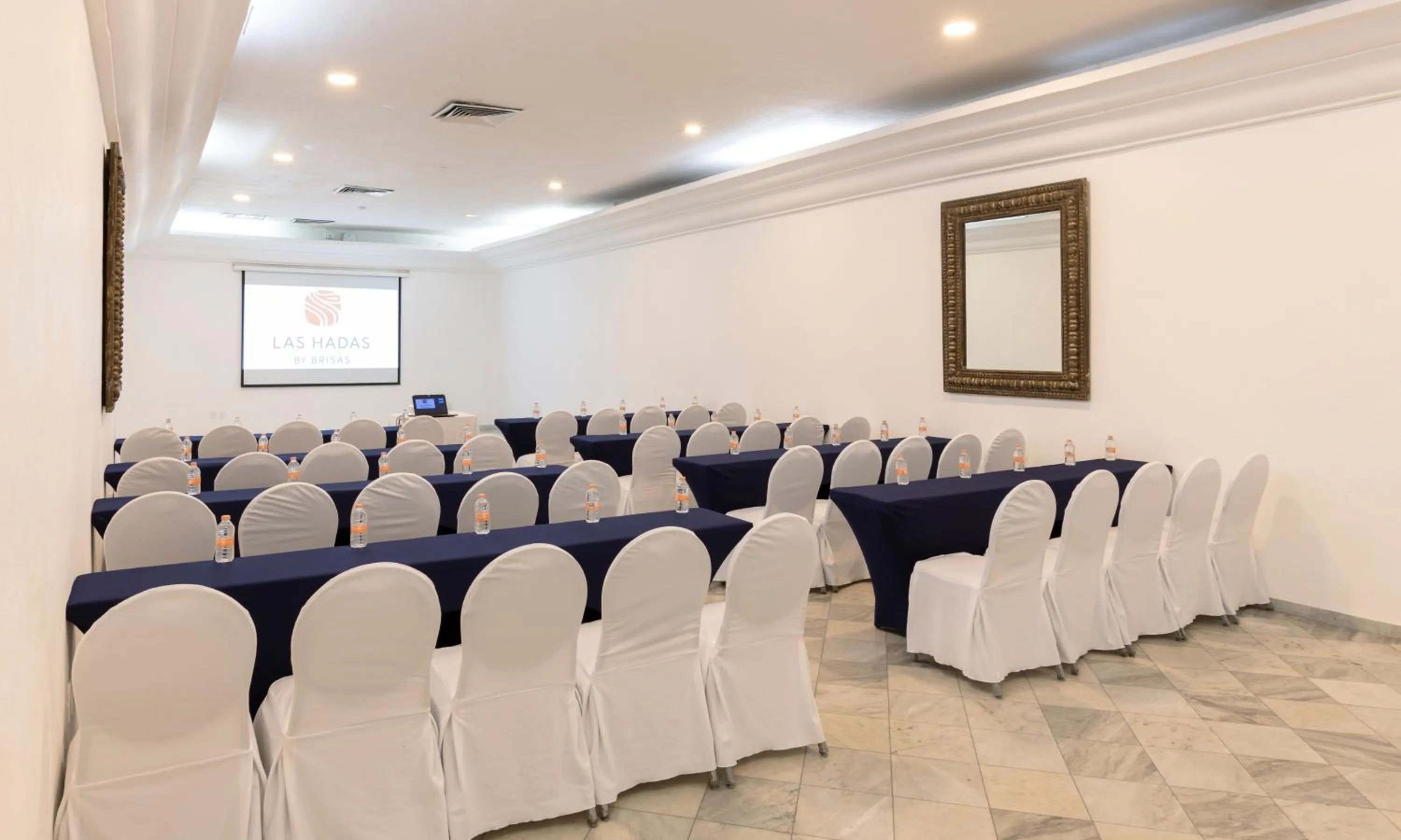 Business facilities in Las Hadas by Brisas