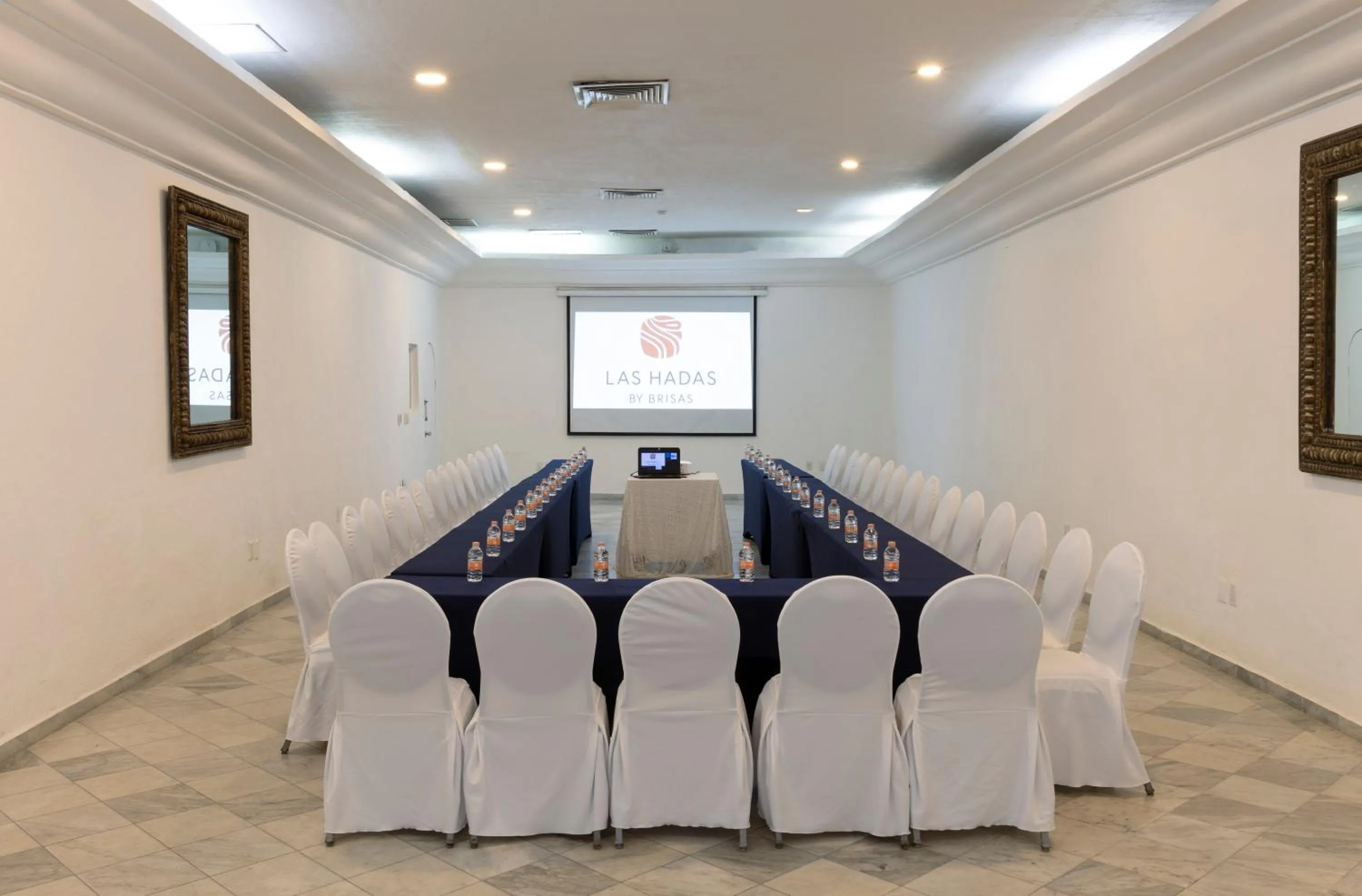 Business facilities in Las Hadas by Brisas