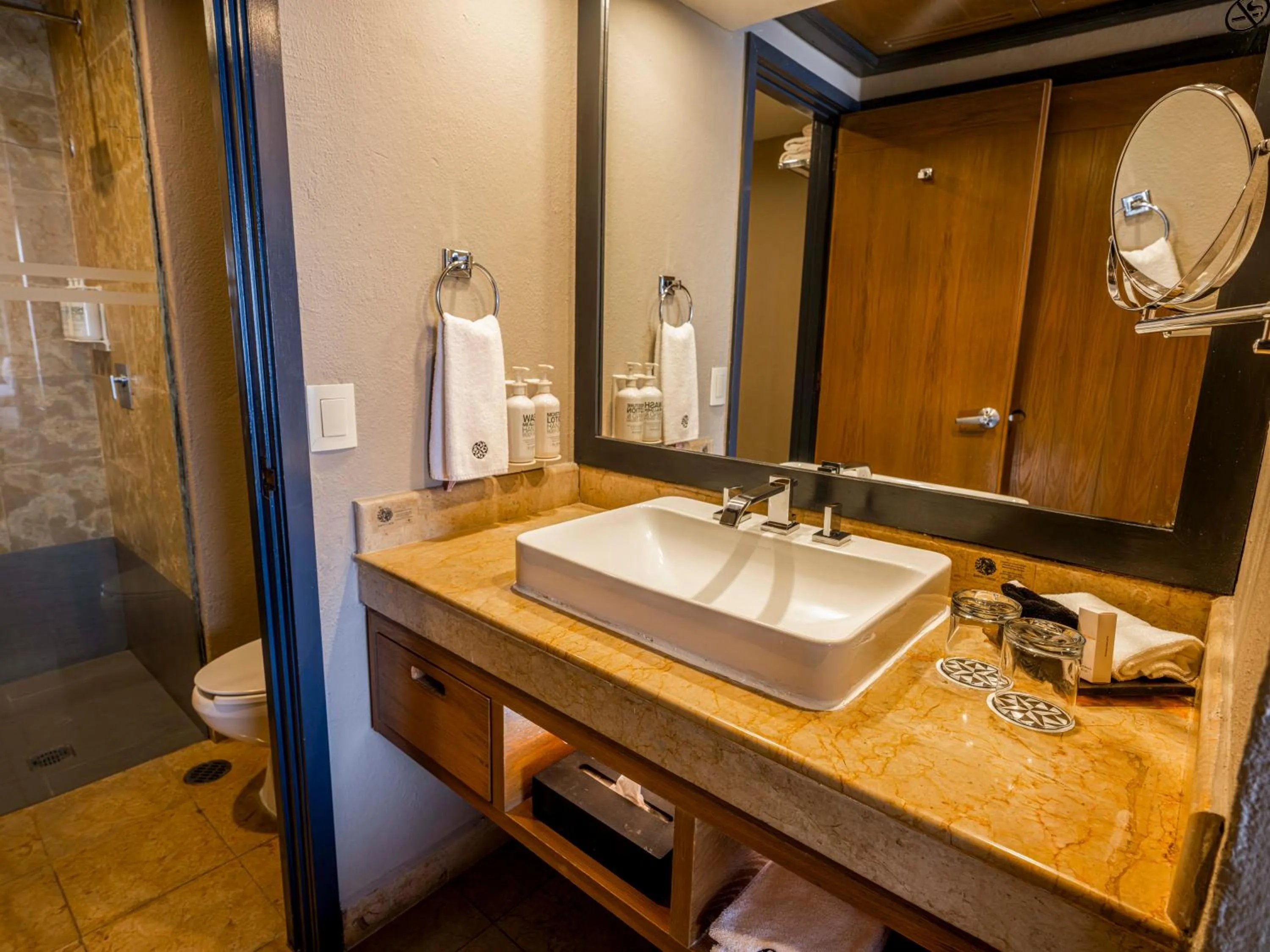 Bathroom in Galería Plaza Veracruz