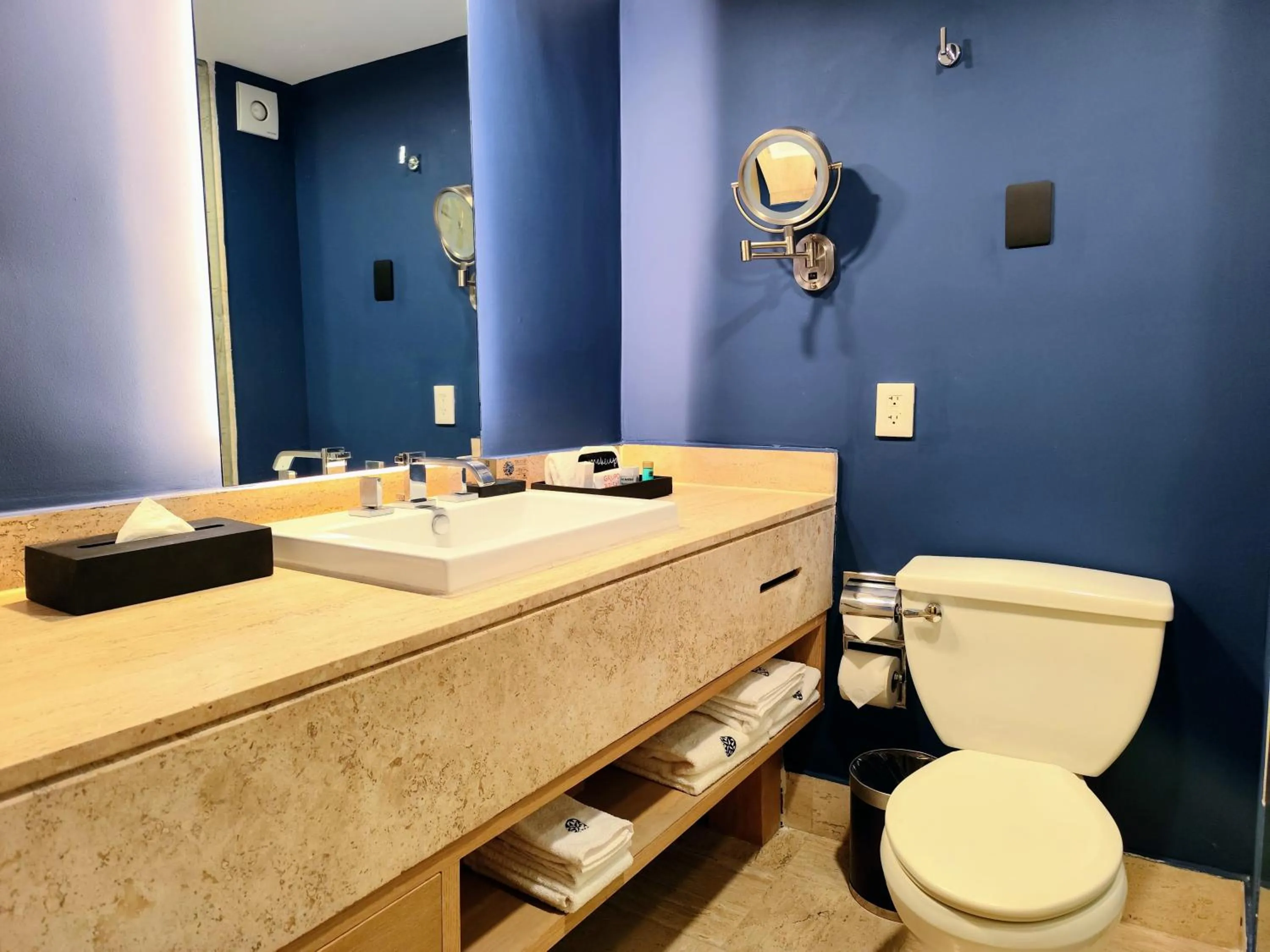 Toilet in Galeria Plaza Reforma