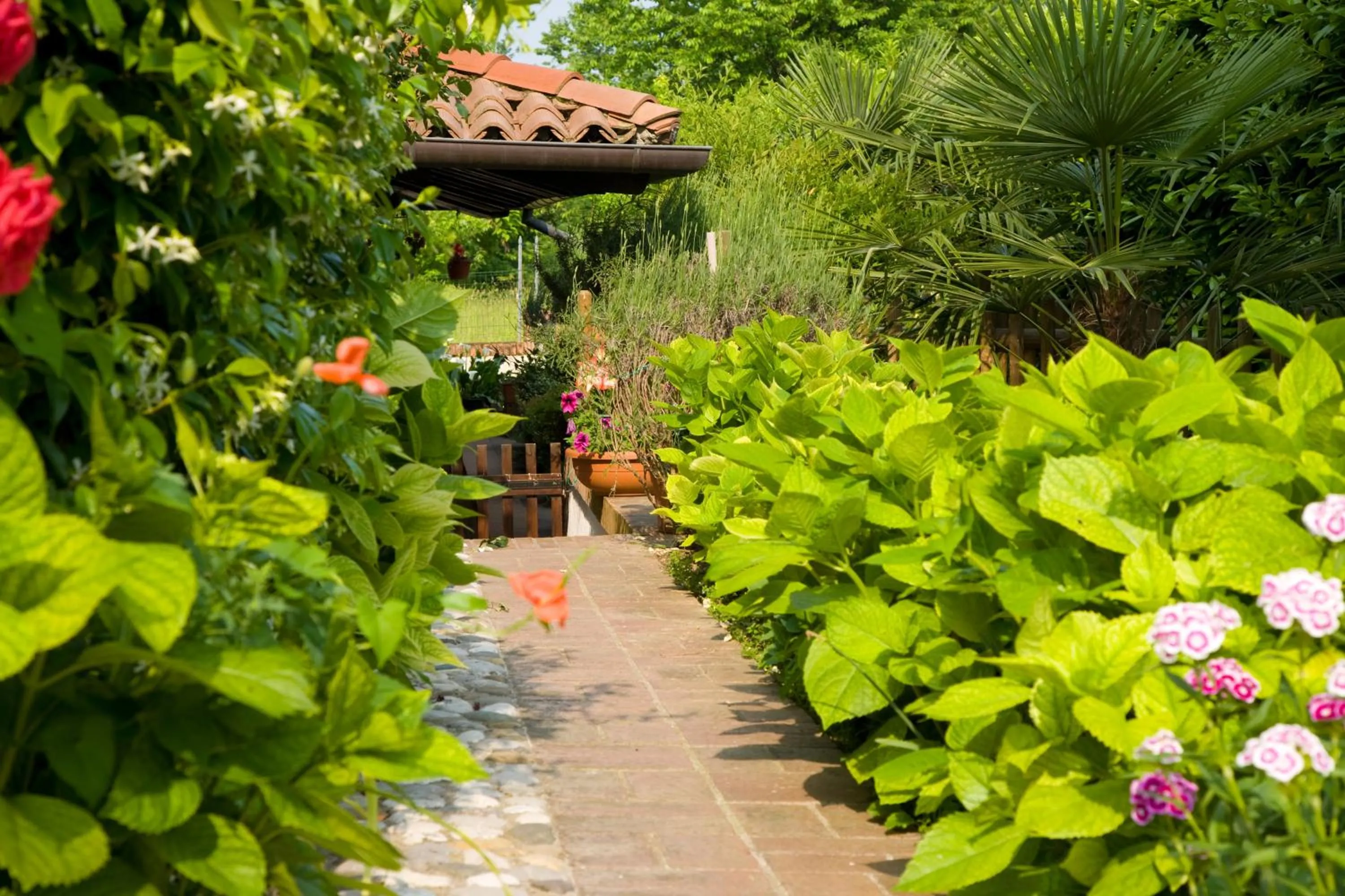 Garden in Ca' Livenza