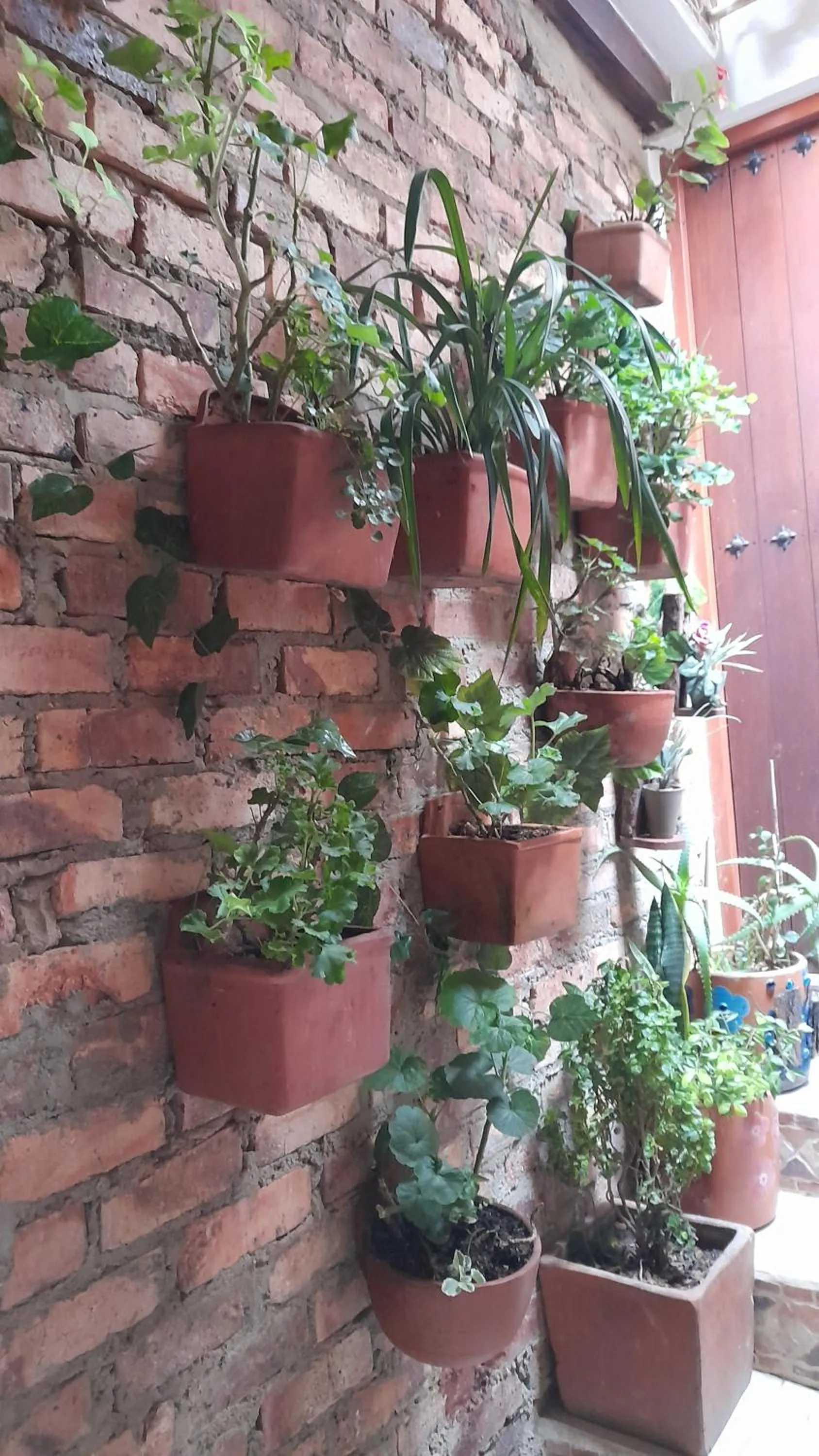 Garden in Vivelavilla suites VDL