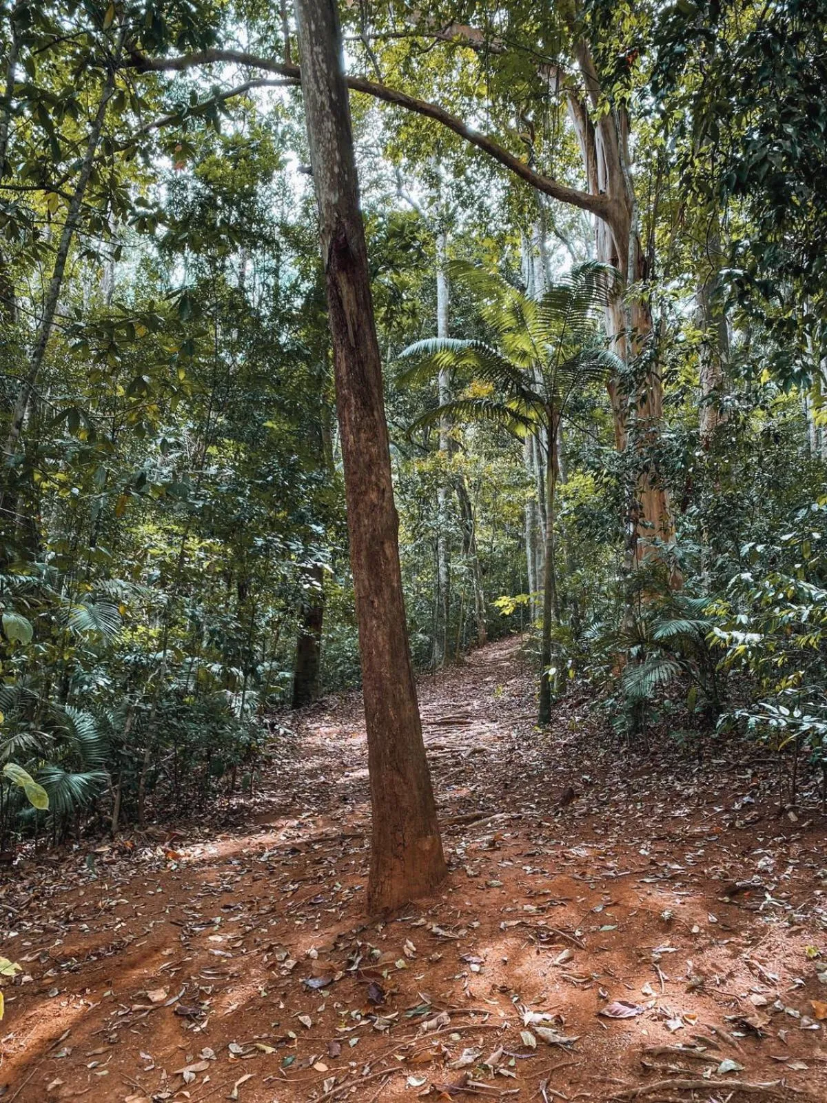 Natural landscape in Apart-hotel Granja Brasil Itaipava