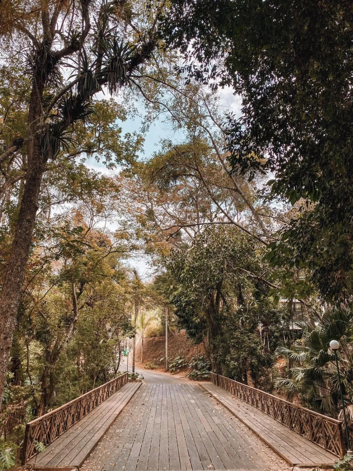 Natural landscape in Apart-hotel Granja Brasil Itaipava
