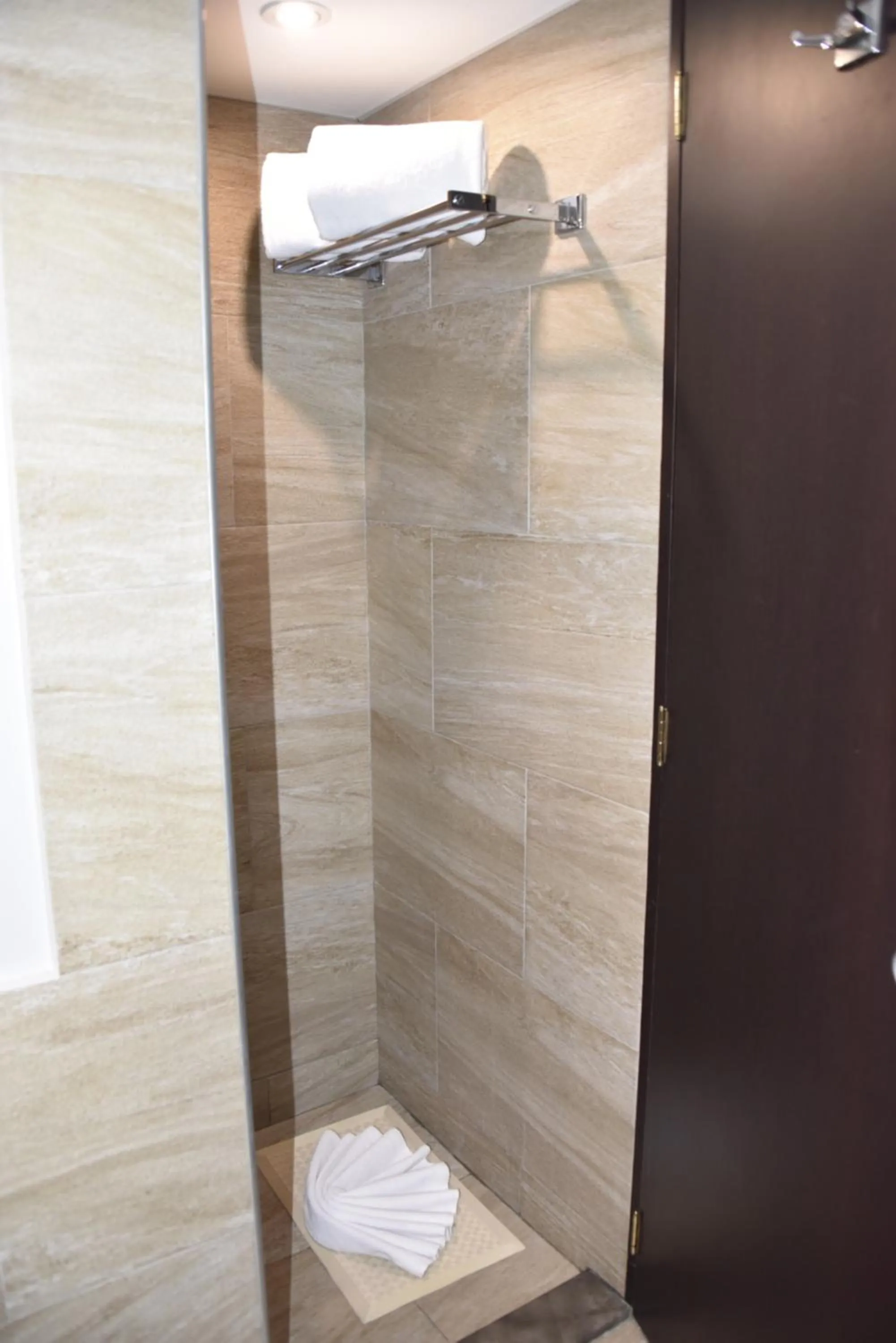 Shower in Hotel Royal Reforma
