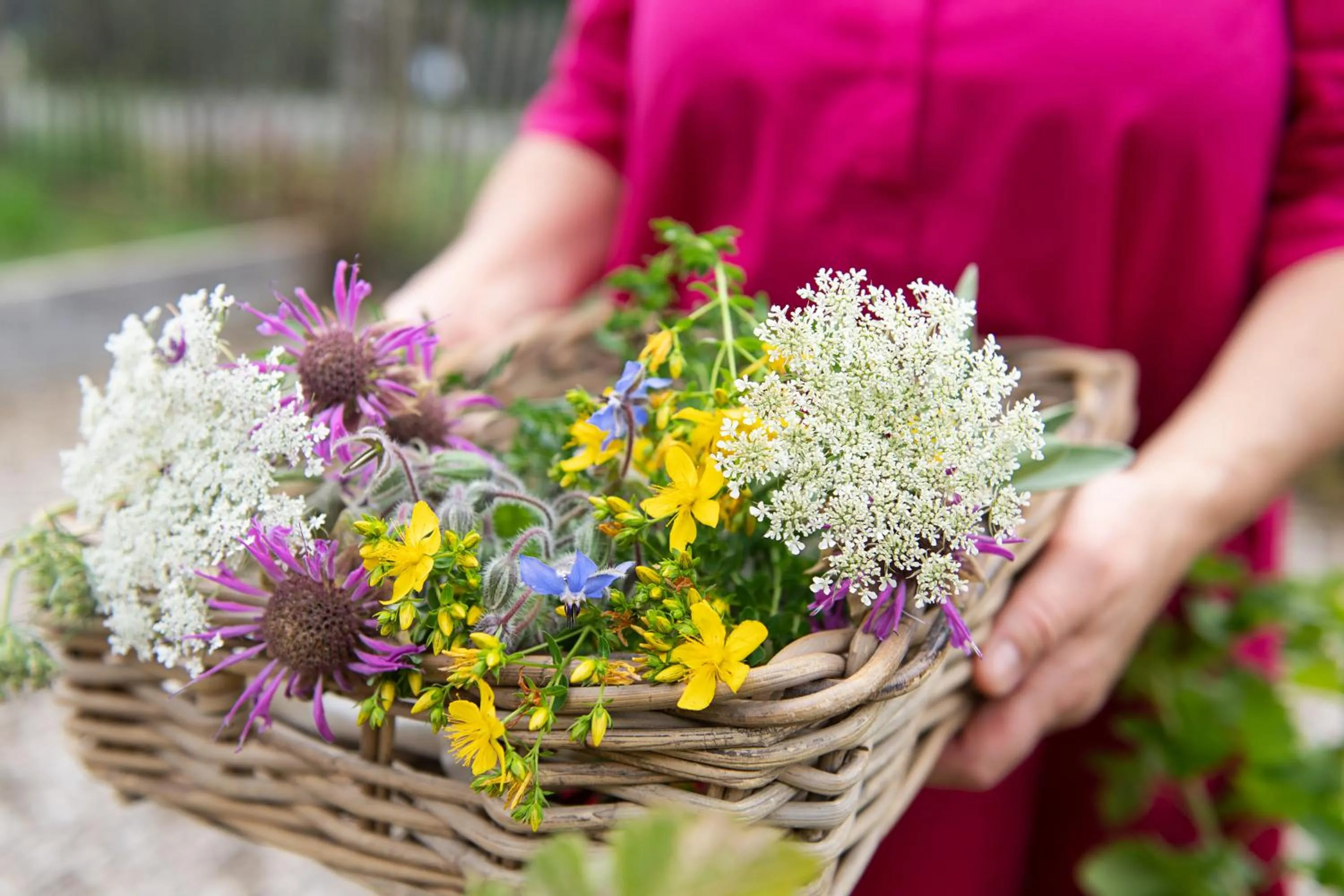 Day in Kräuter & Spa-Hotel Das Schäfer - Adults only