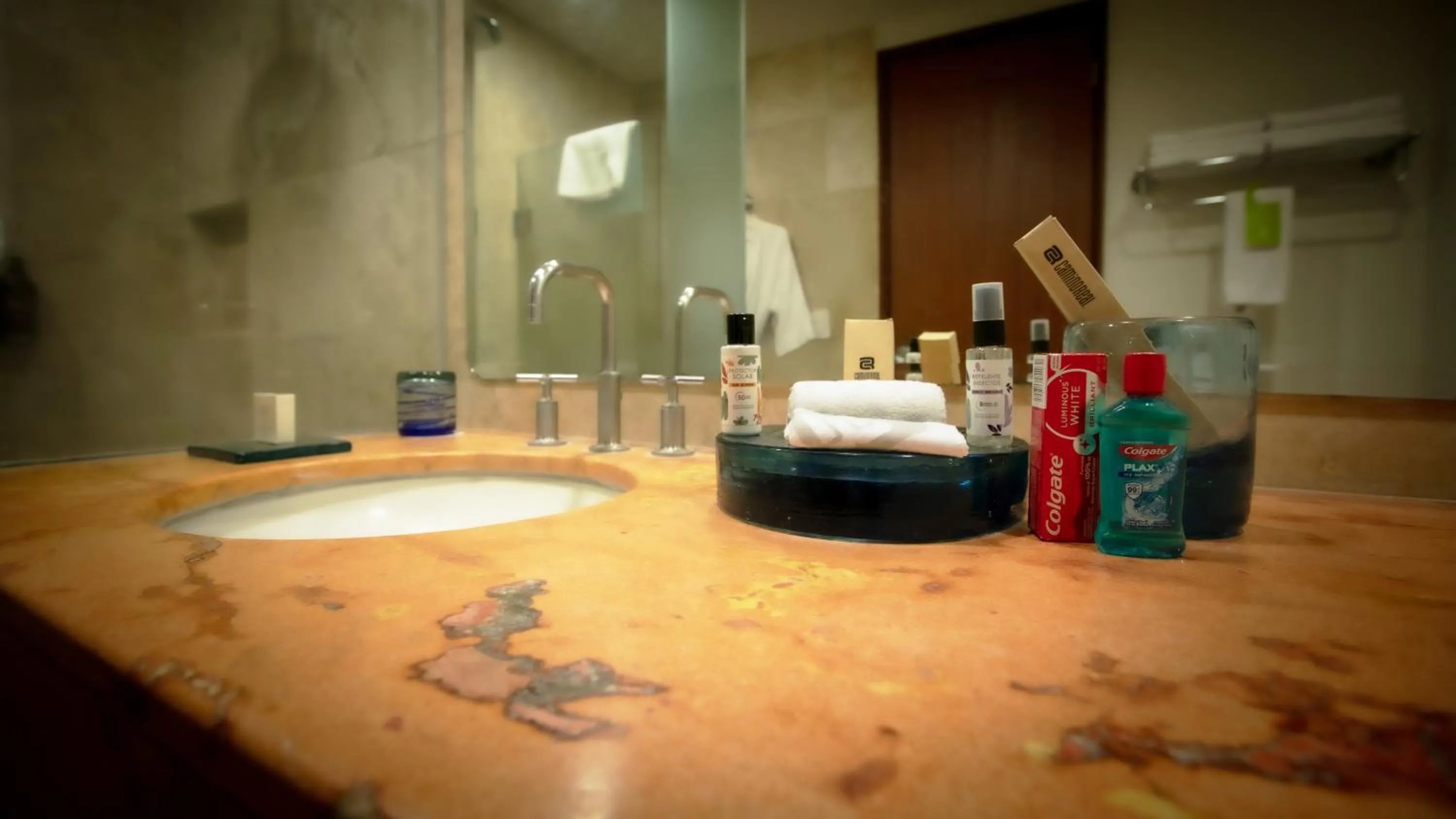 Bathroom in Camino Real Guadalajara