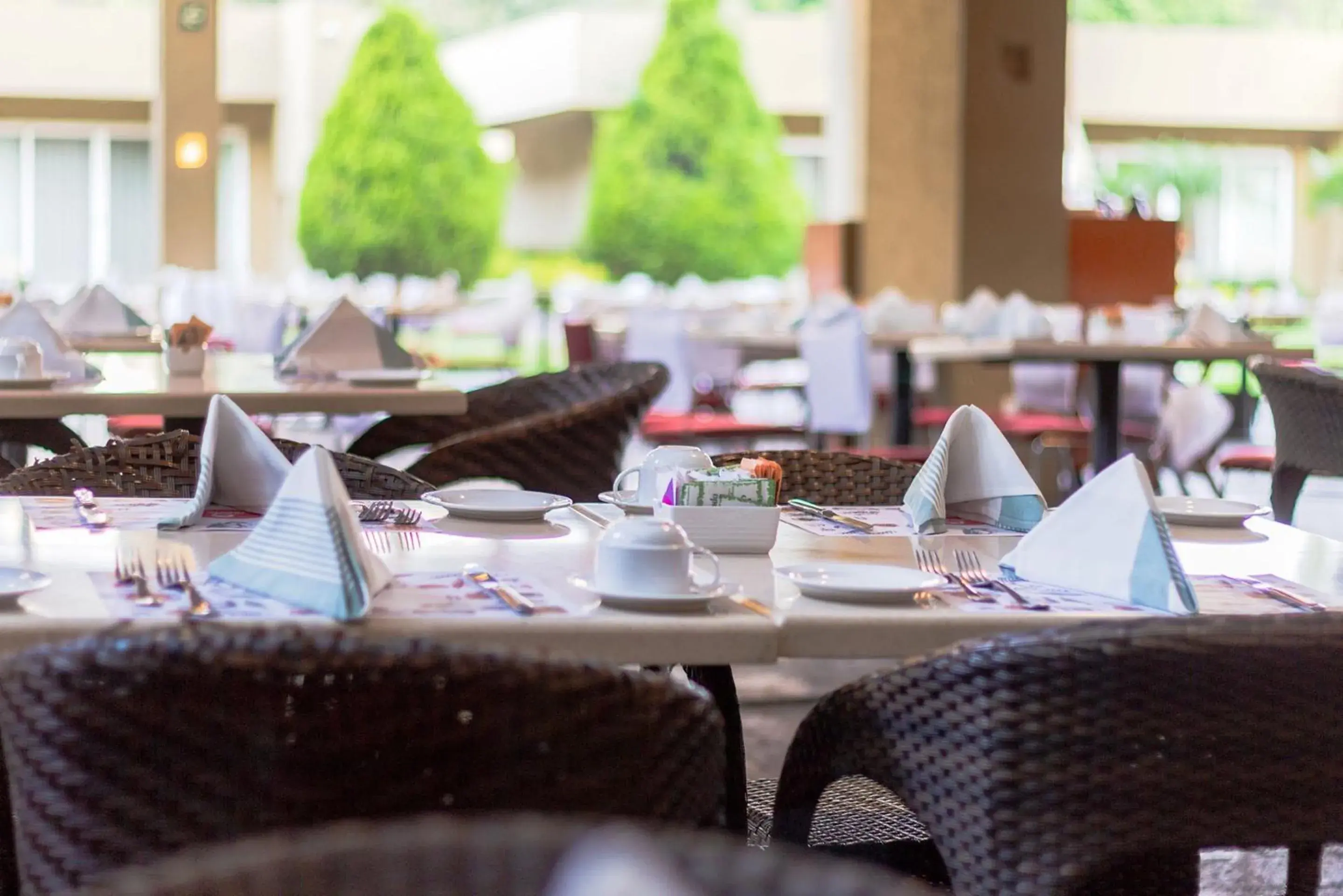 Restaurant/places to eat in Camino Real Guadalajara Restaurant/places to eat in Camino Real Guadalajara