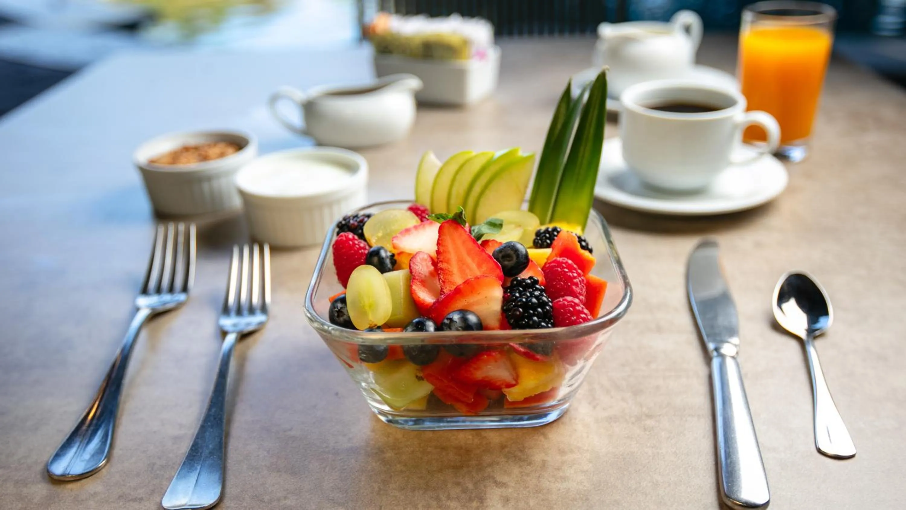 Food and drinks in Camino Real Guadalajara