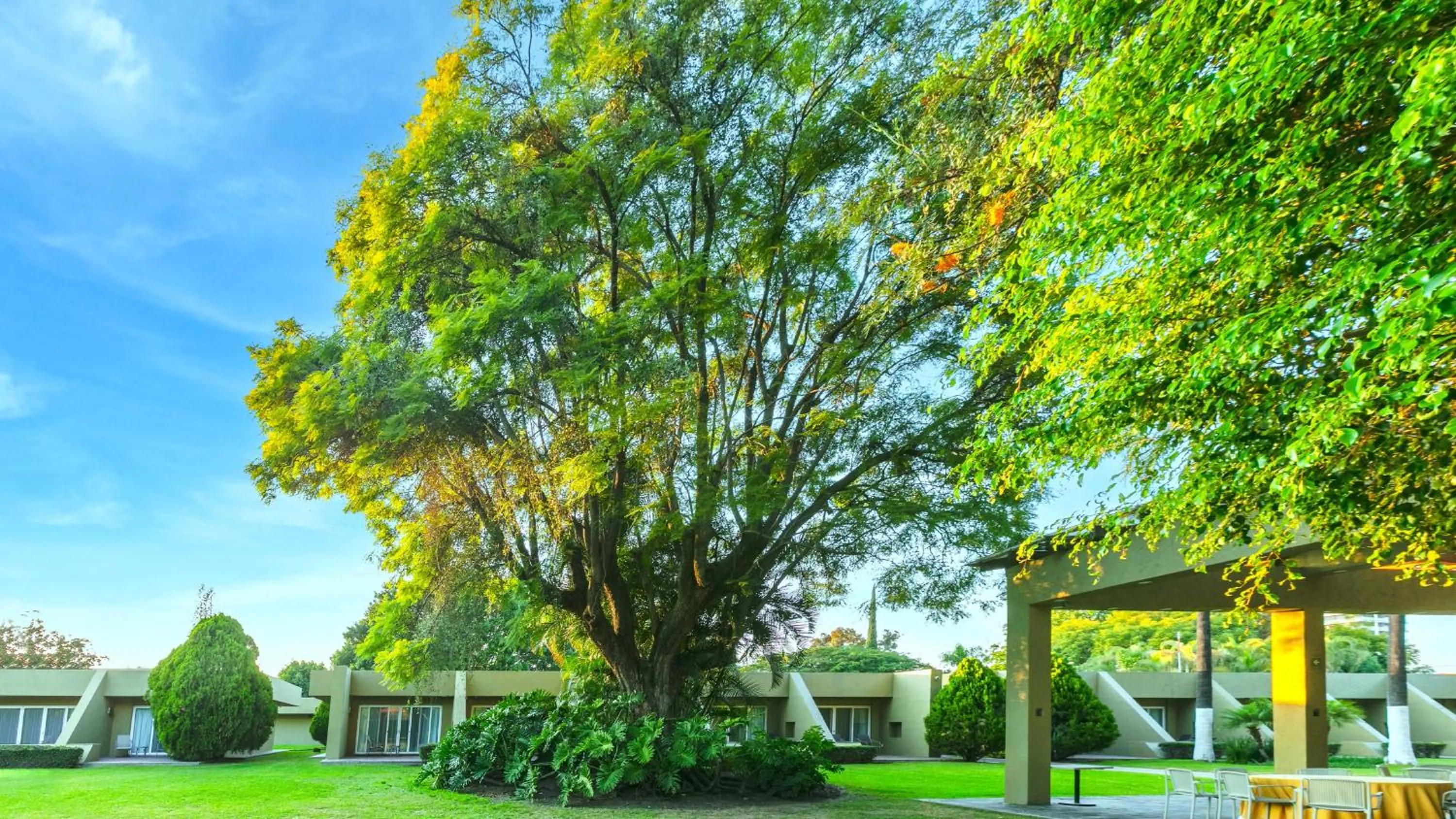 Garden in Camino Real Guadalajara