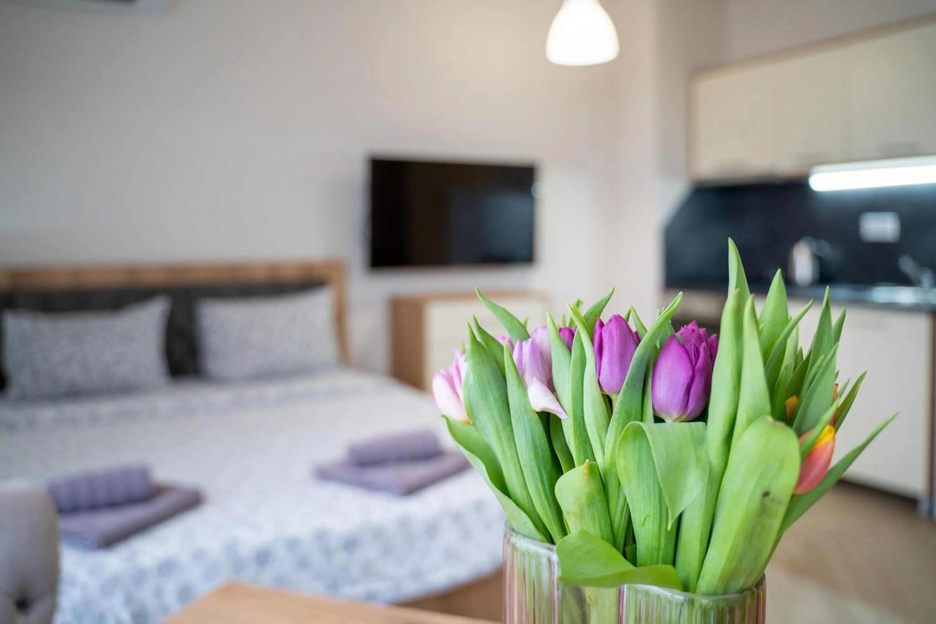Bed in WOW studios for rent 2 bul Montevideo 25A - B