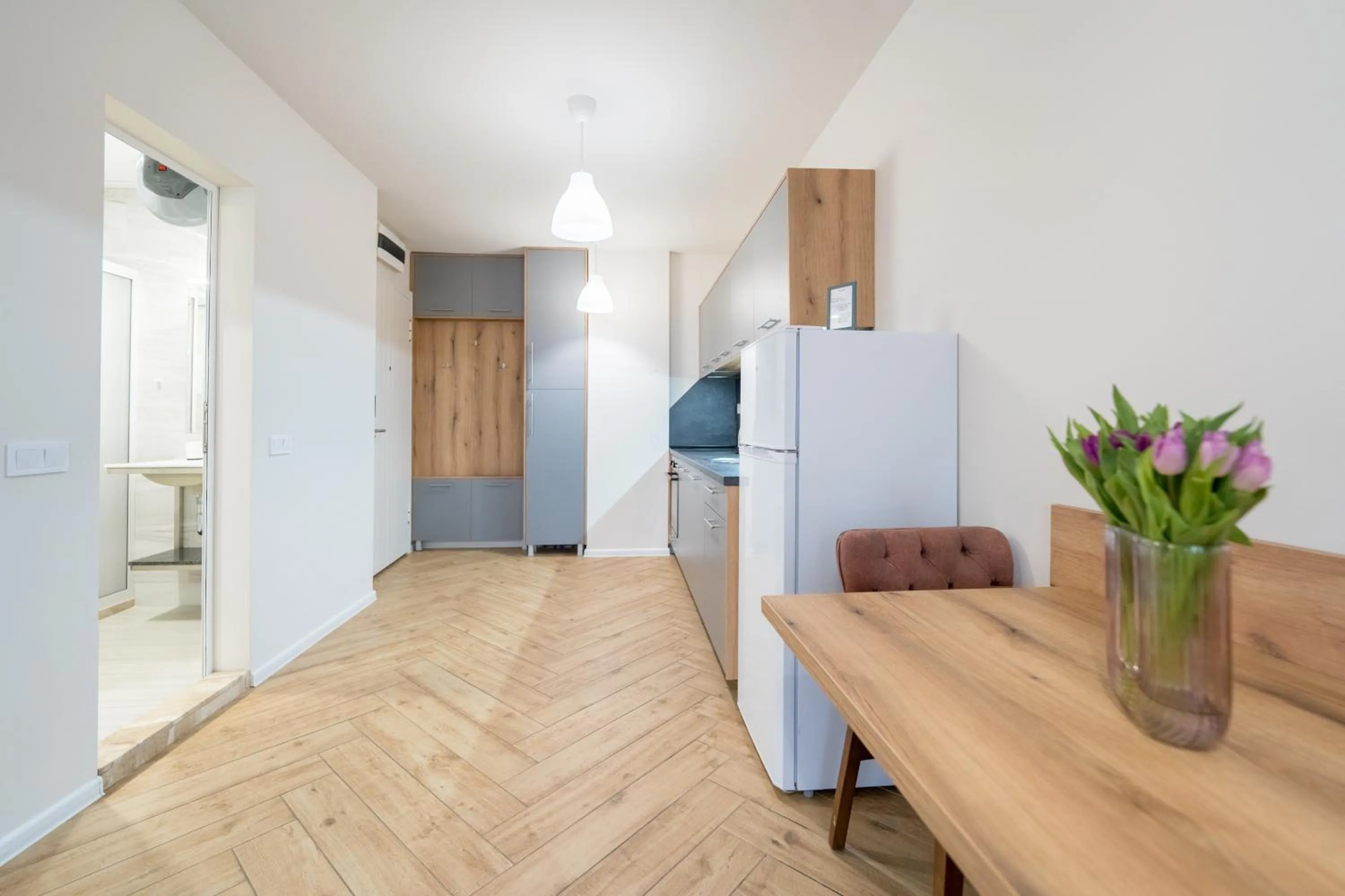 WOW studios for rent 2 bul Montevideo 25A - B