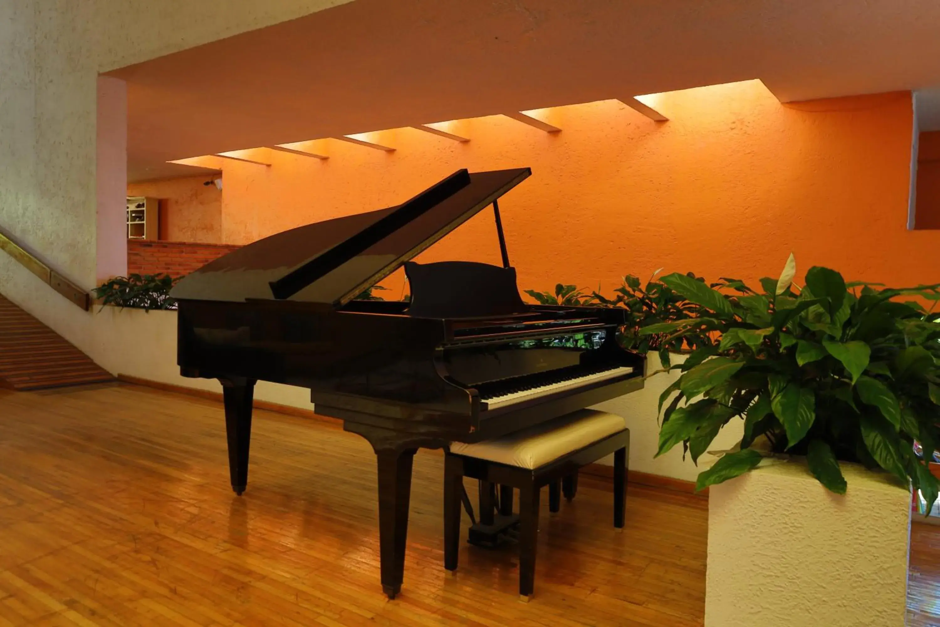 Living room in Hotel Aristos Cuernavaca Living room in Hotel Aristos Cuernavaca
