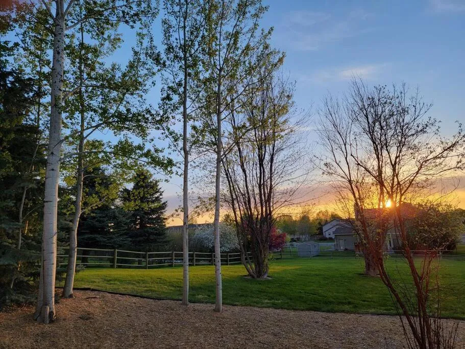 Among the Aspens Family Cottage