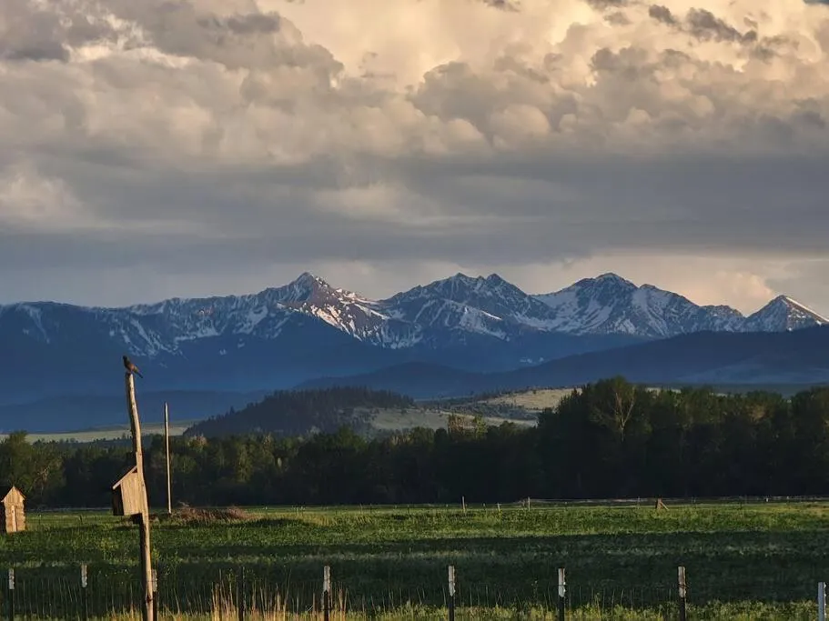 Natural landscape in Mountain View Home on 2 Acres