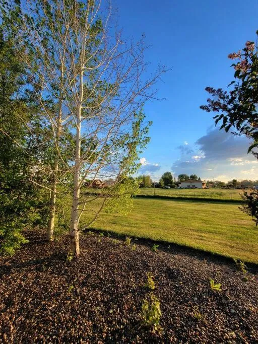 Natural landscape in Mountain View Home on 2 Acres