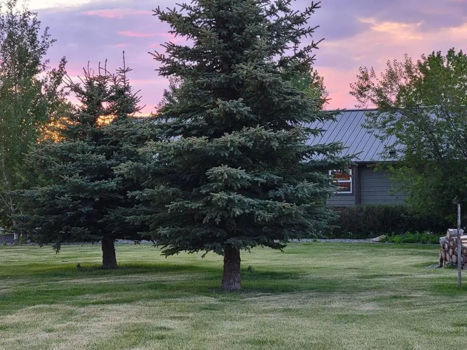 Property building in Mountain View Home on 2 Acres