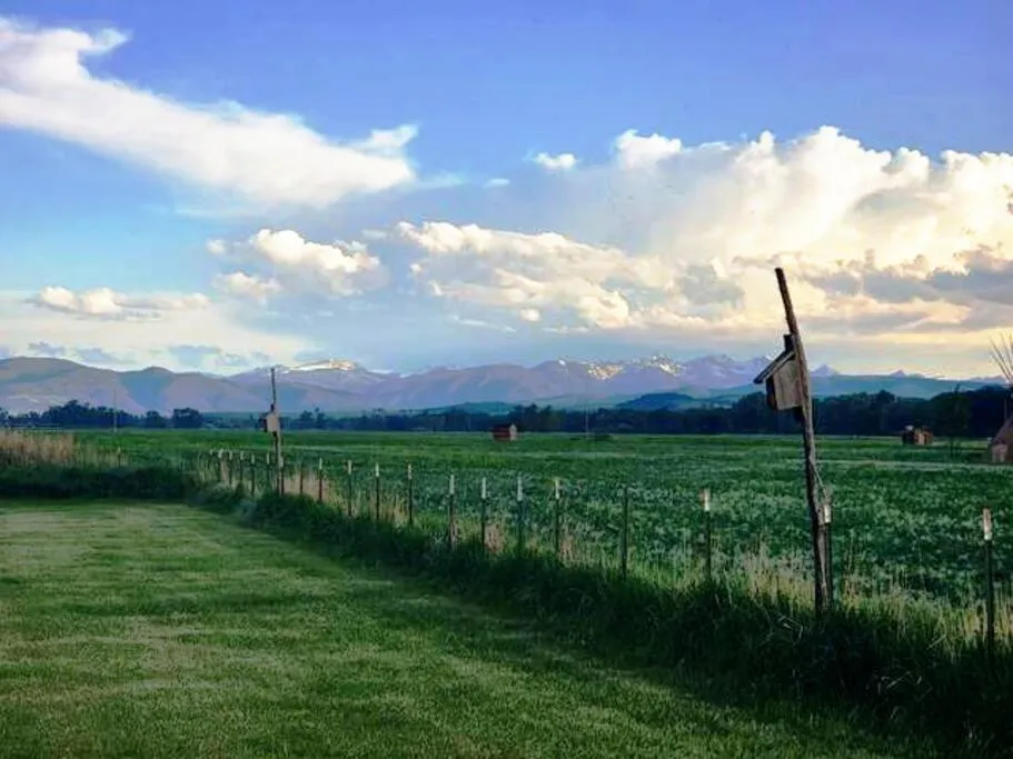 Natural landscape in Mountain View Home on 2 Acres