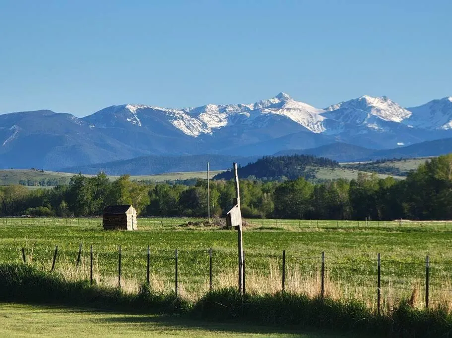 Natural landscape in Mountain View Home on 2 Acres