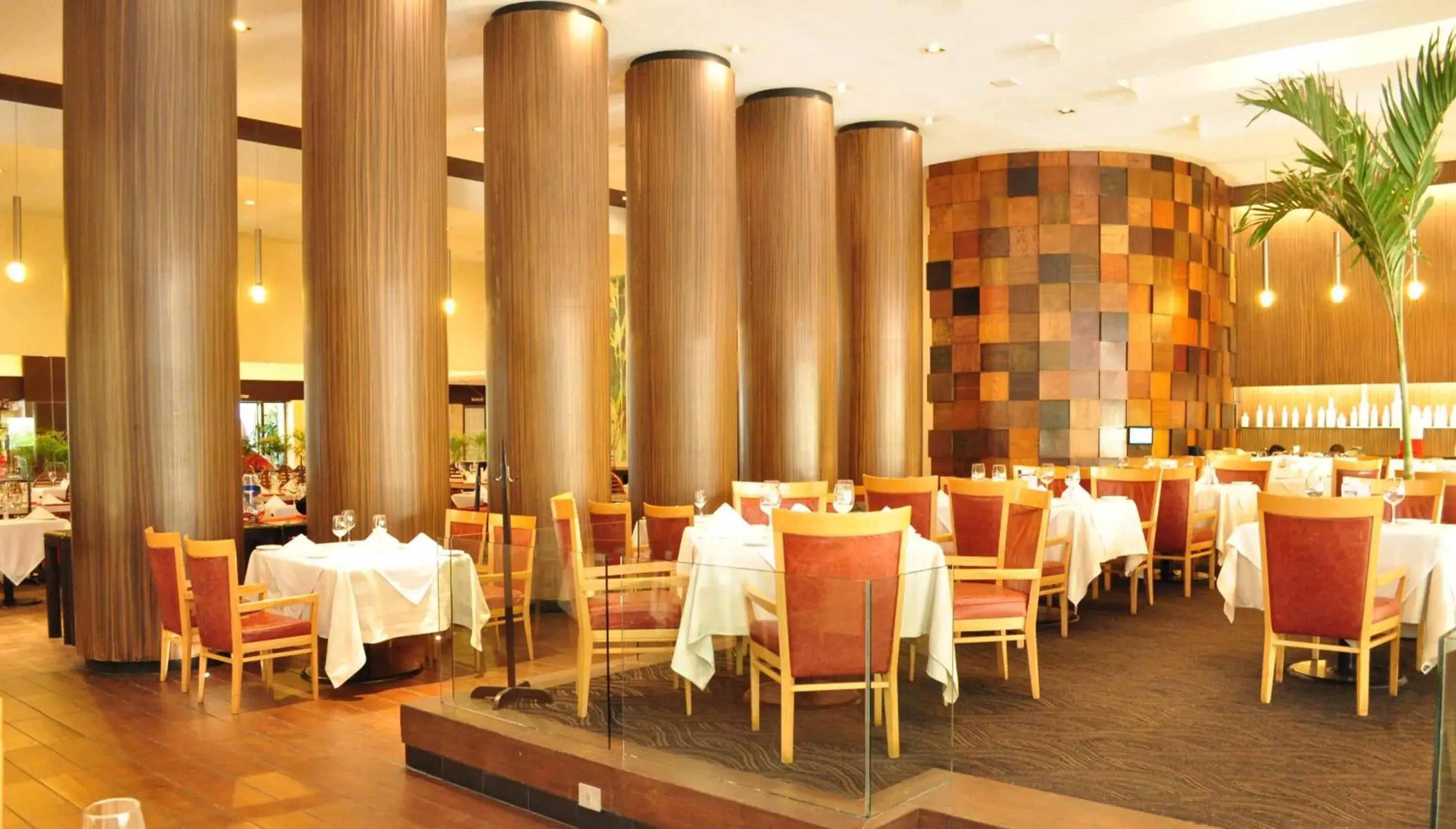 Restaurant/places to eat in Royal Pedregal Restaurant/places to eat in Royal Pedregal