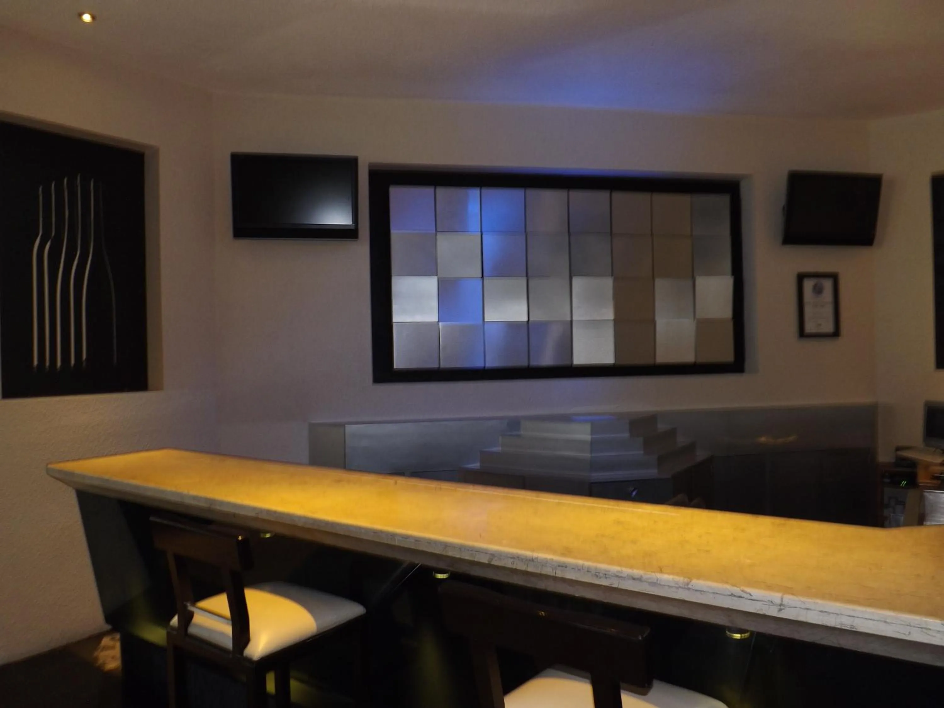 Lounge or bar in Royal Pedregal