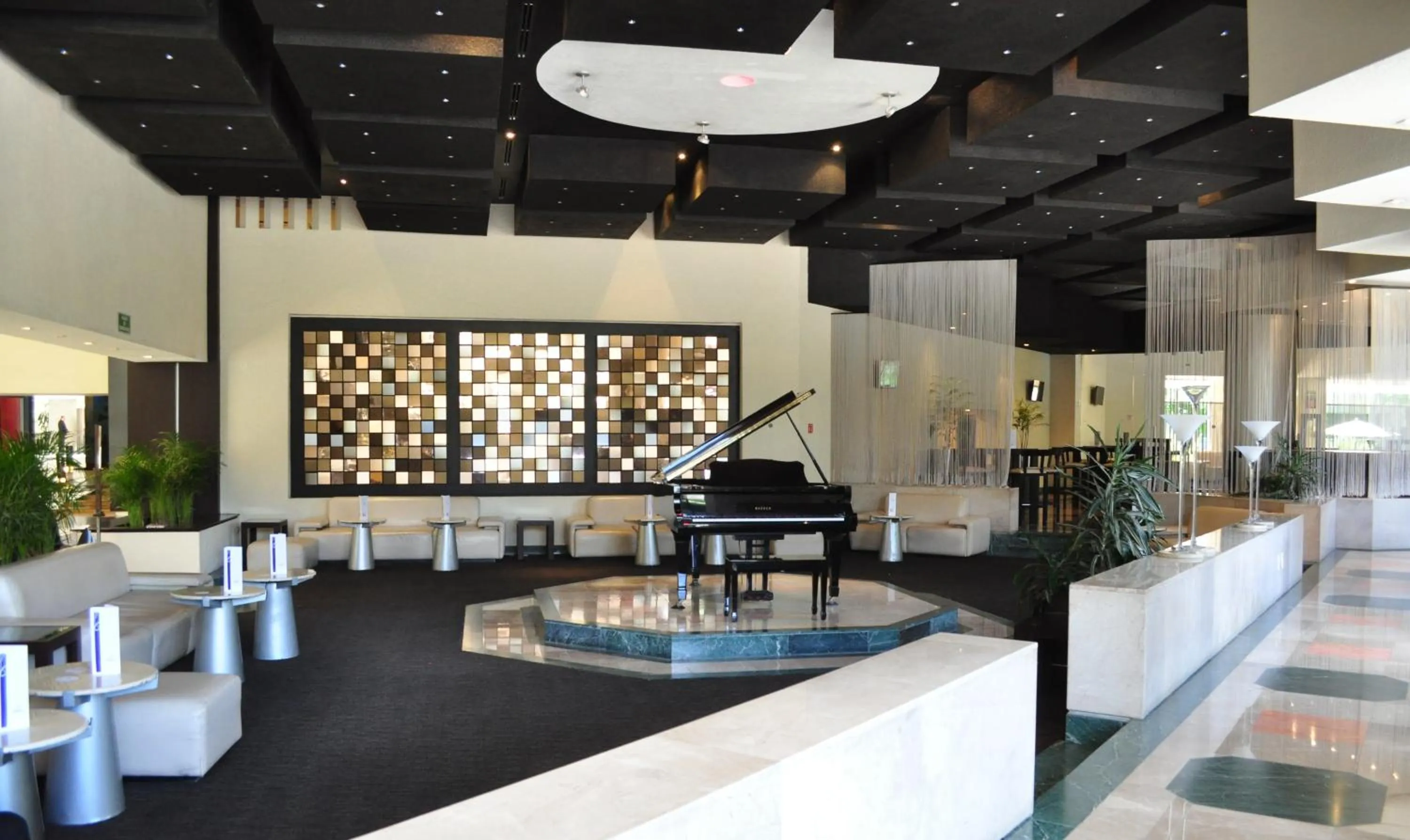 Lounge or bar in Royal Pedregal