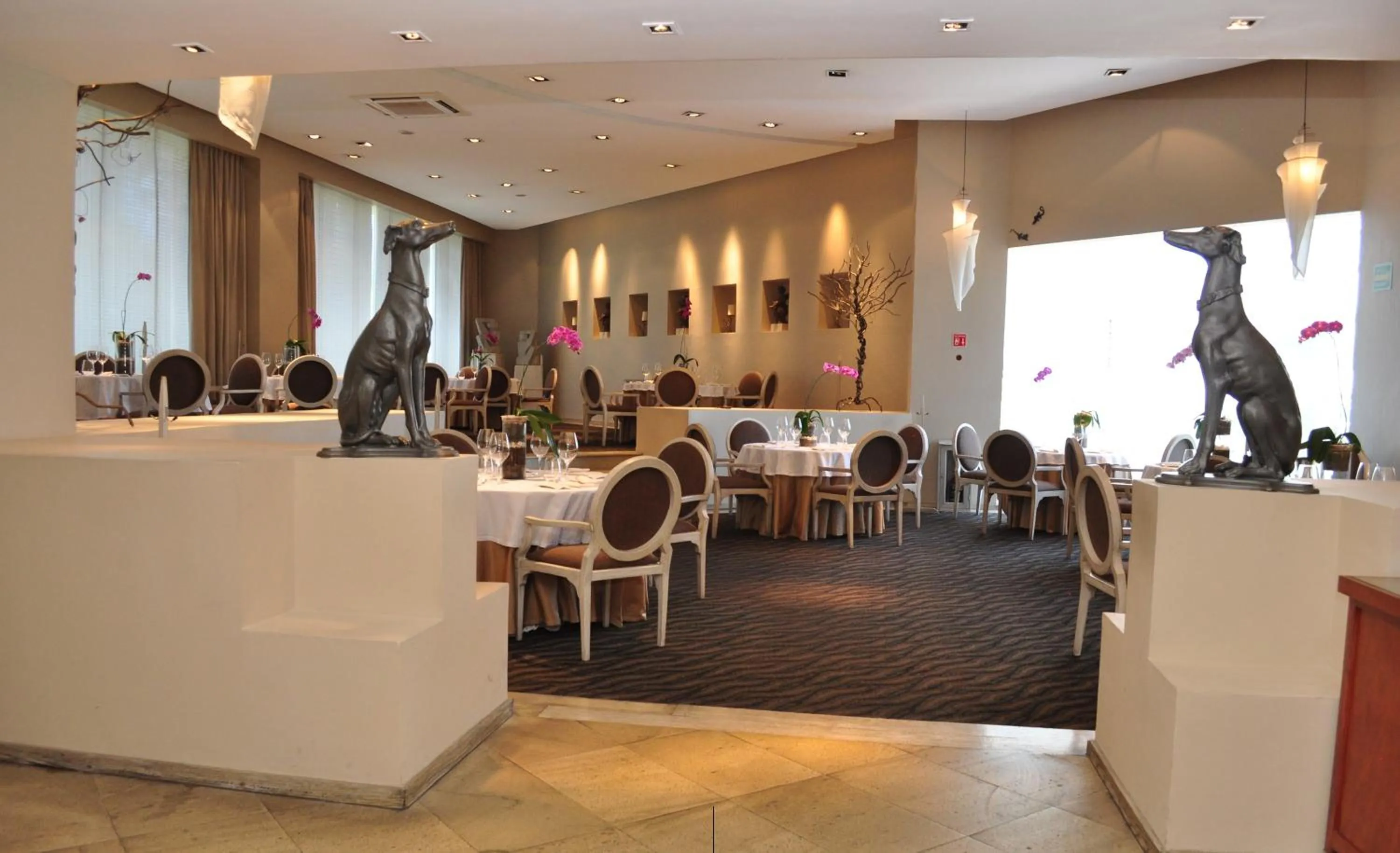 Lounge or bar in Royal Pedregal