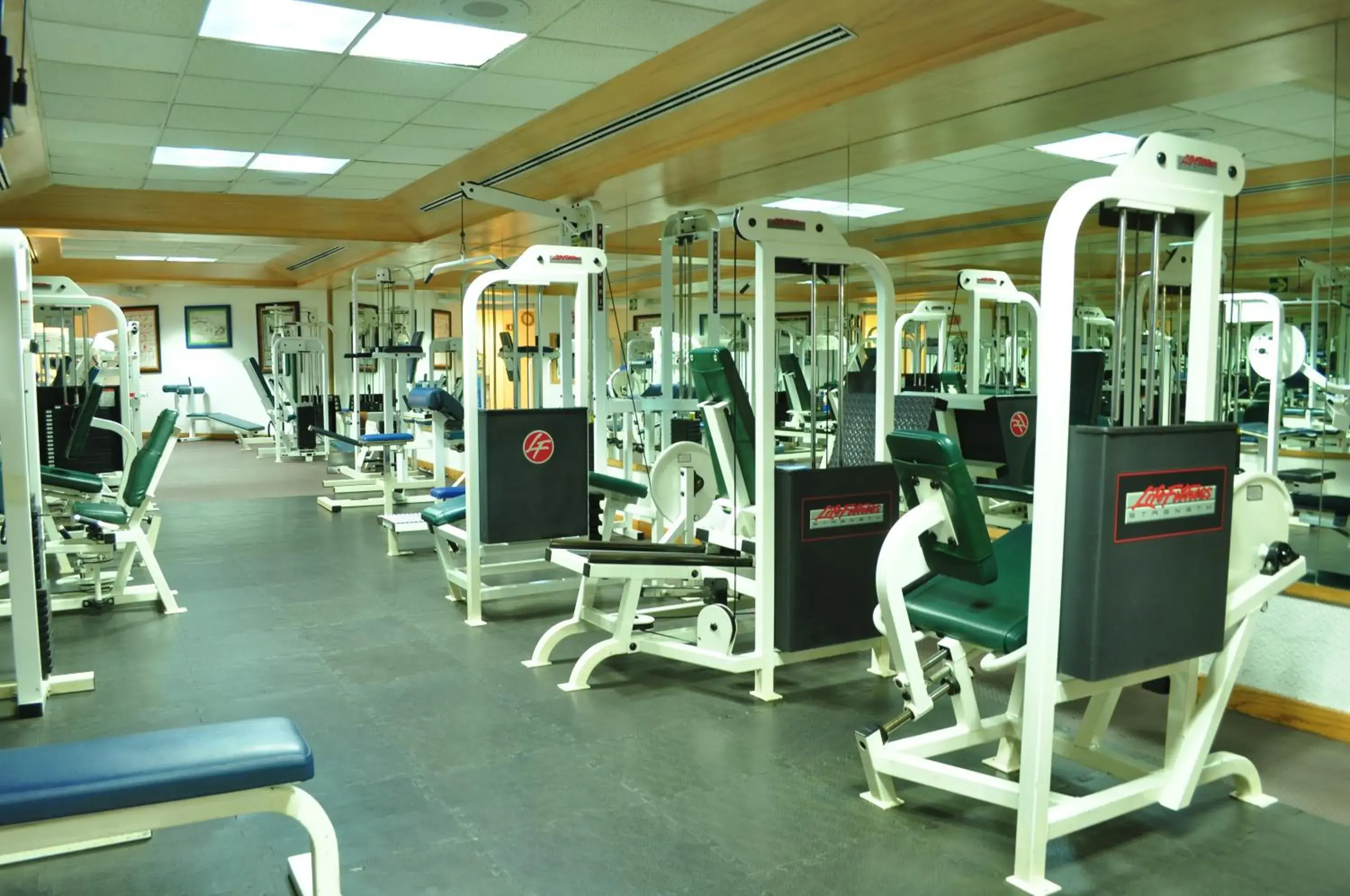 Fitness centre/facilities in Royal Pedregal Fitness centre/facilities in Royal Pedregal