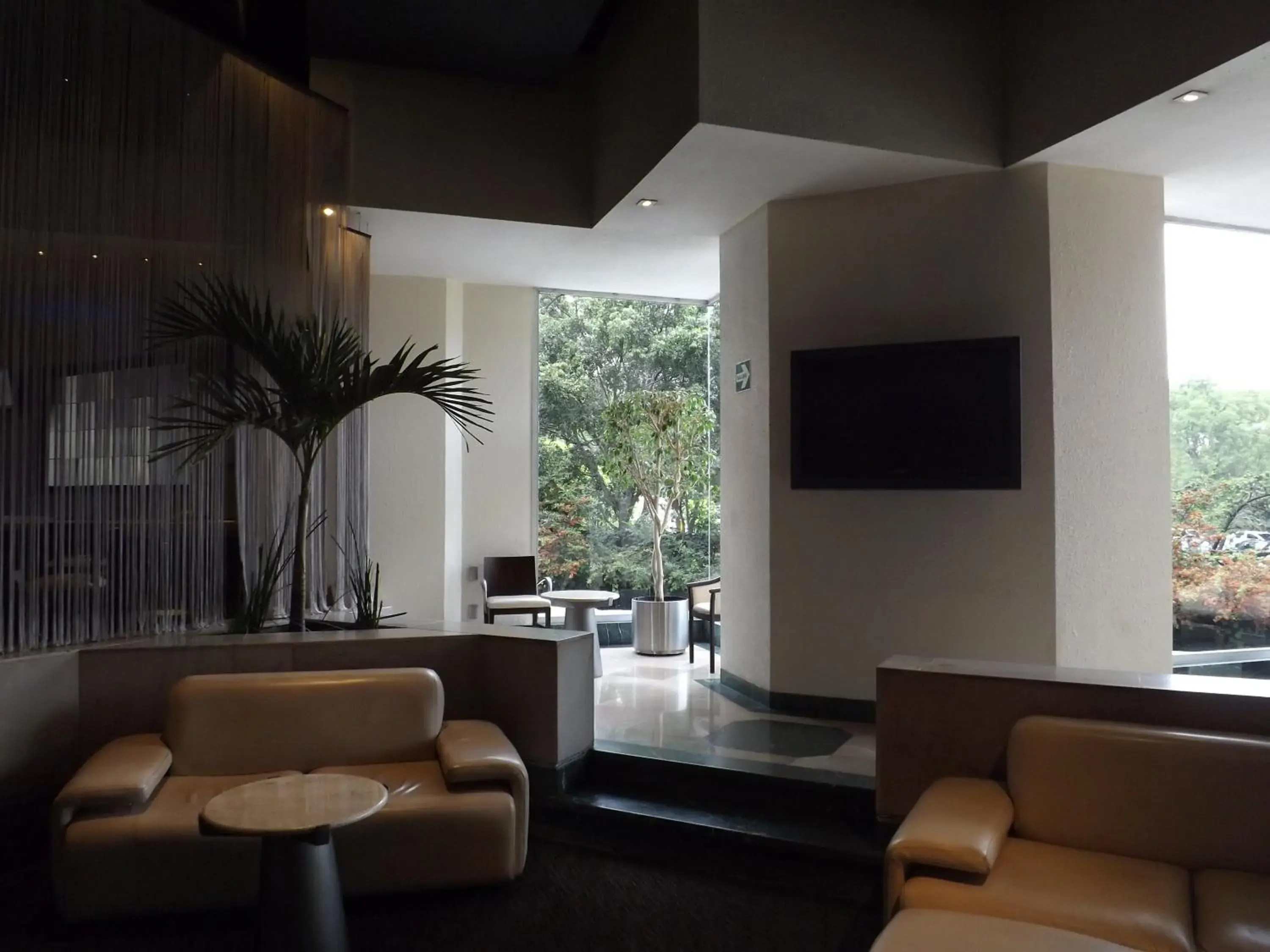 Lounge or bar in Royal Pedregal Lounge or bar in Royal Pedregal