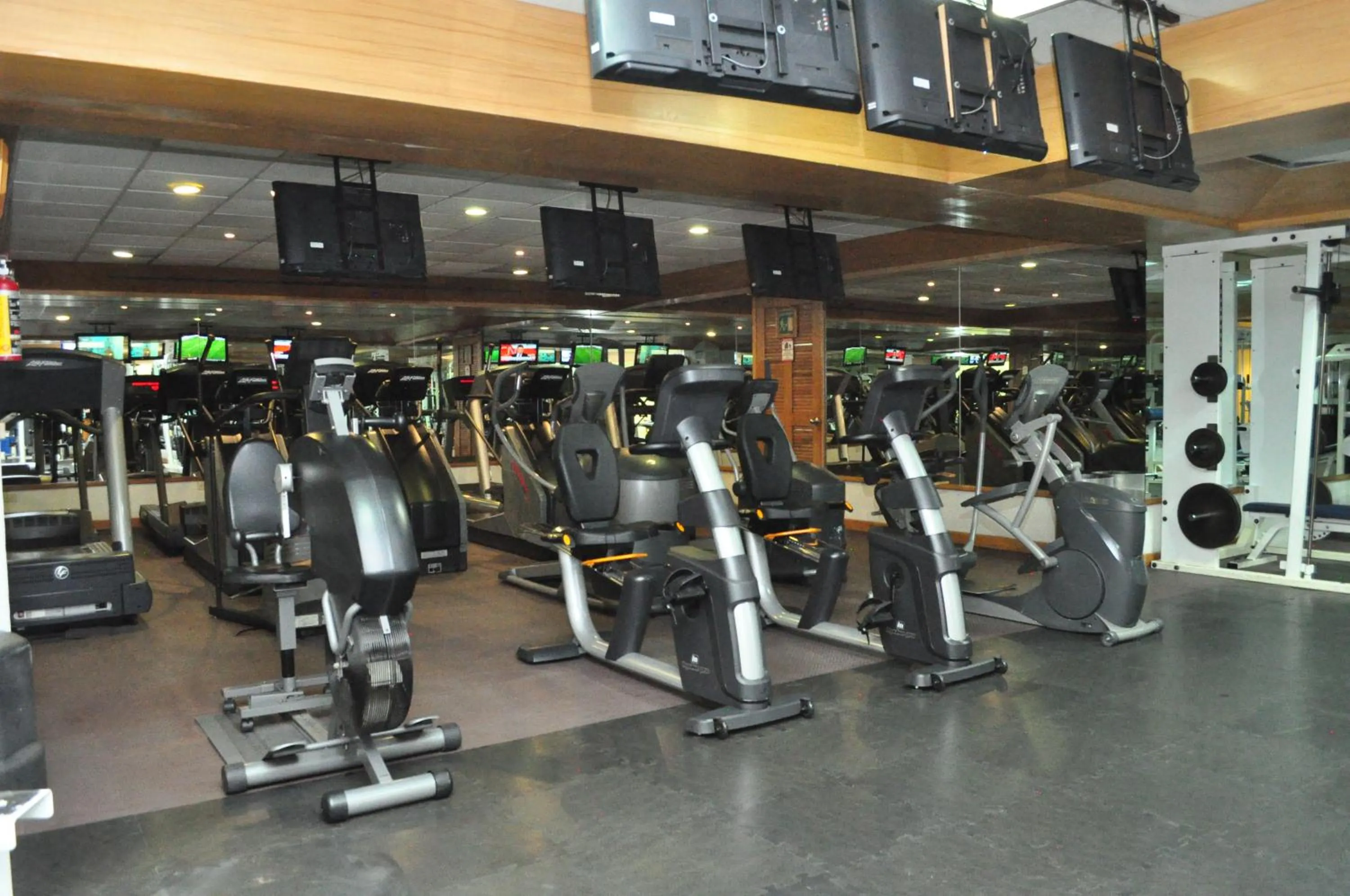 Fitness centre/facilities in Royal Pedregal