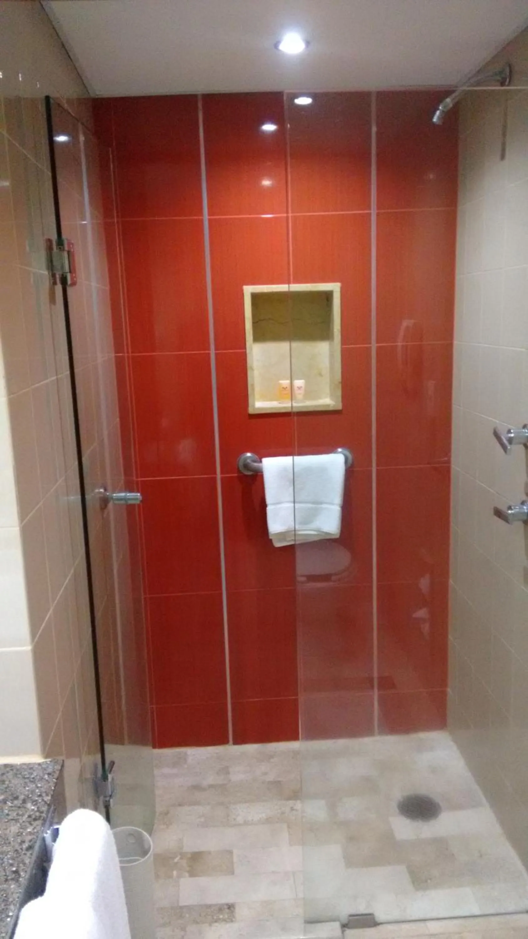 Shower in Sevilla Palace